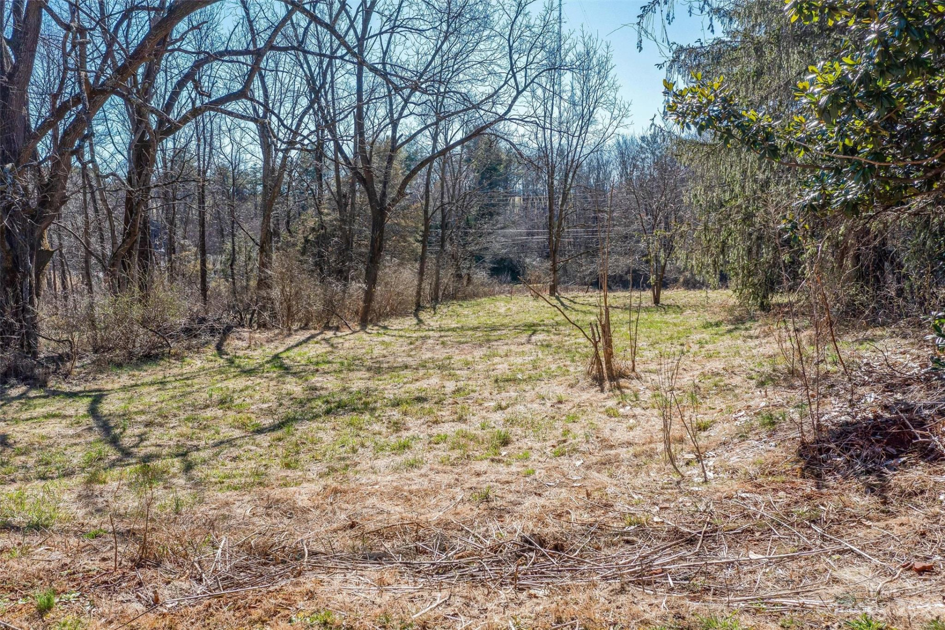 815 Emma Road - Photo 13
