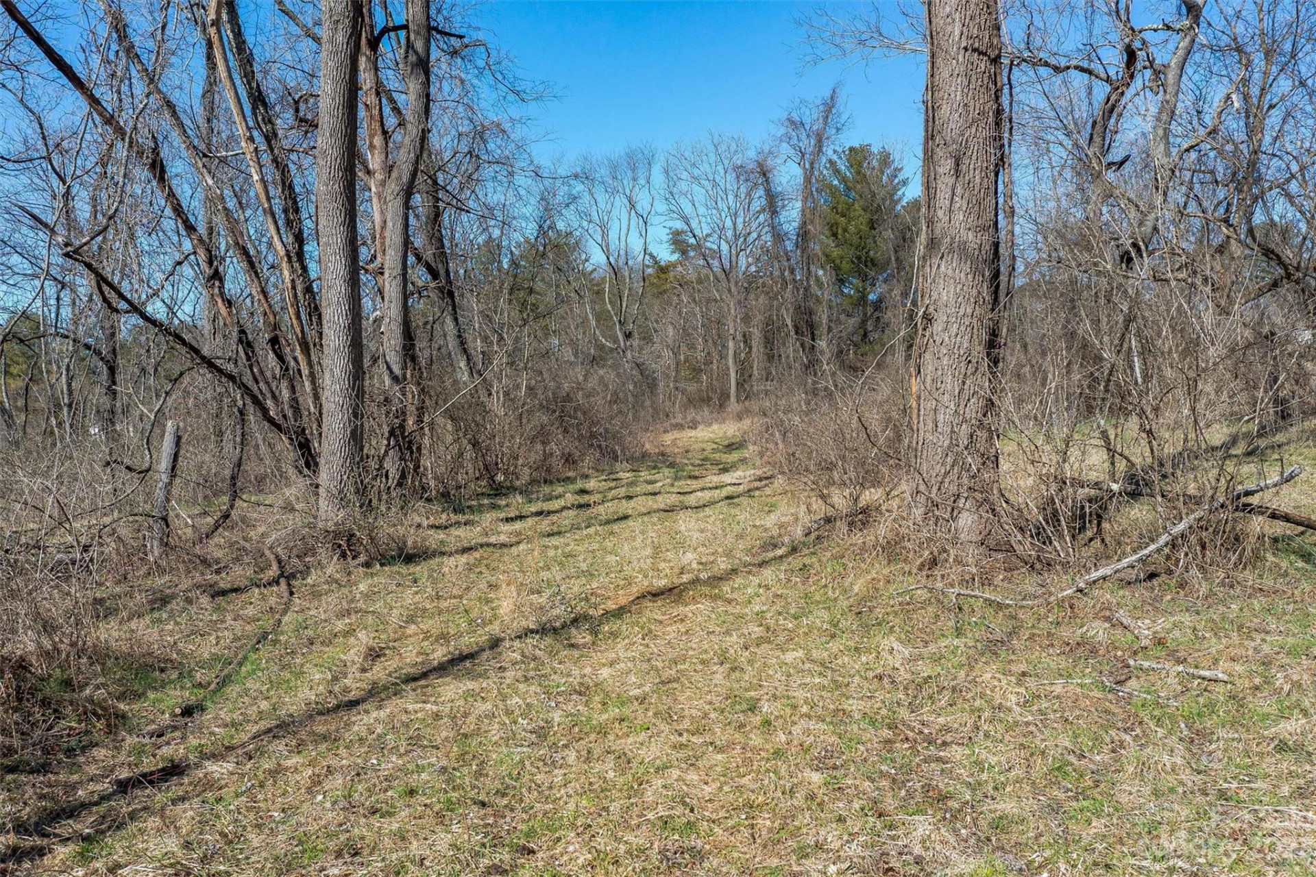 815 Emma Road - Photo 24