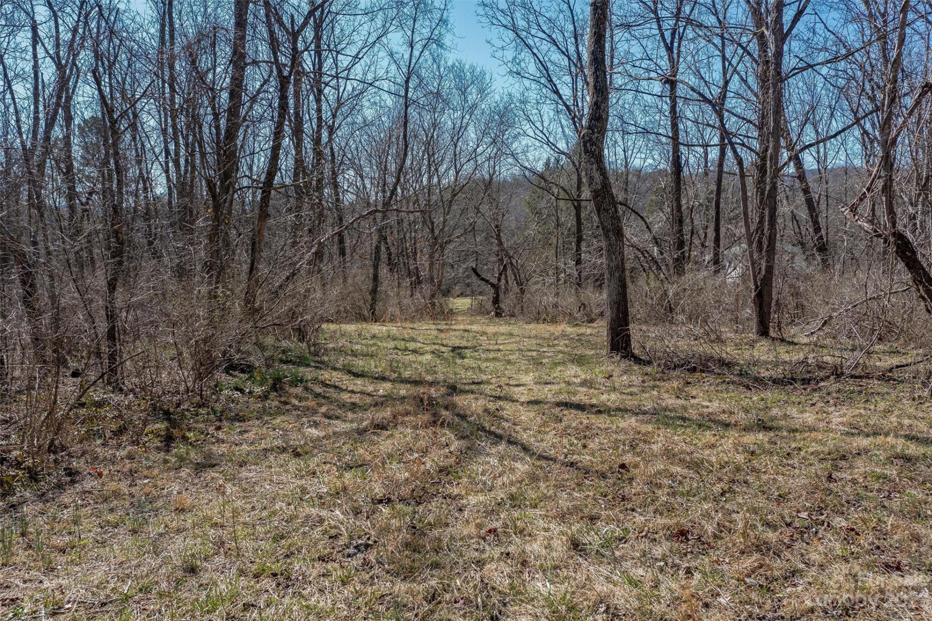 815 Emma Road - Photo 25