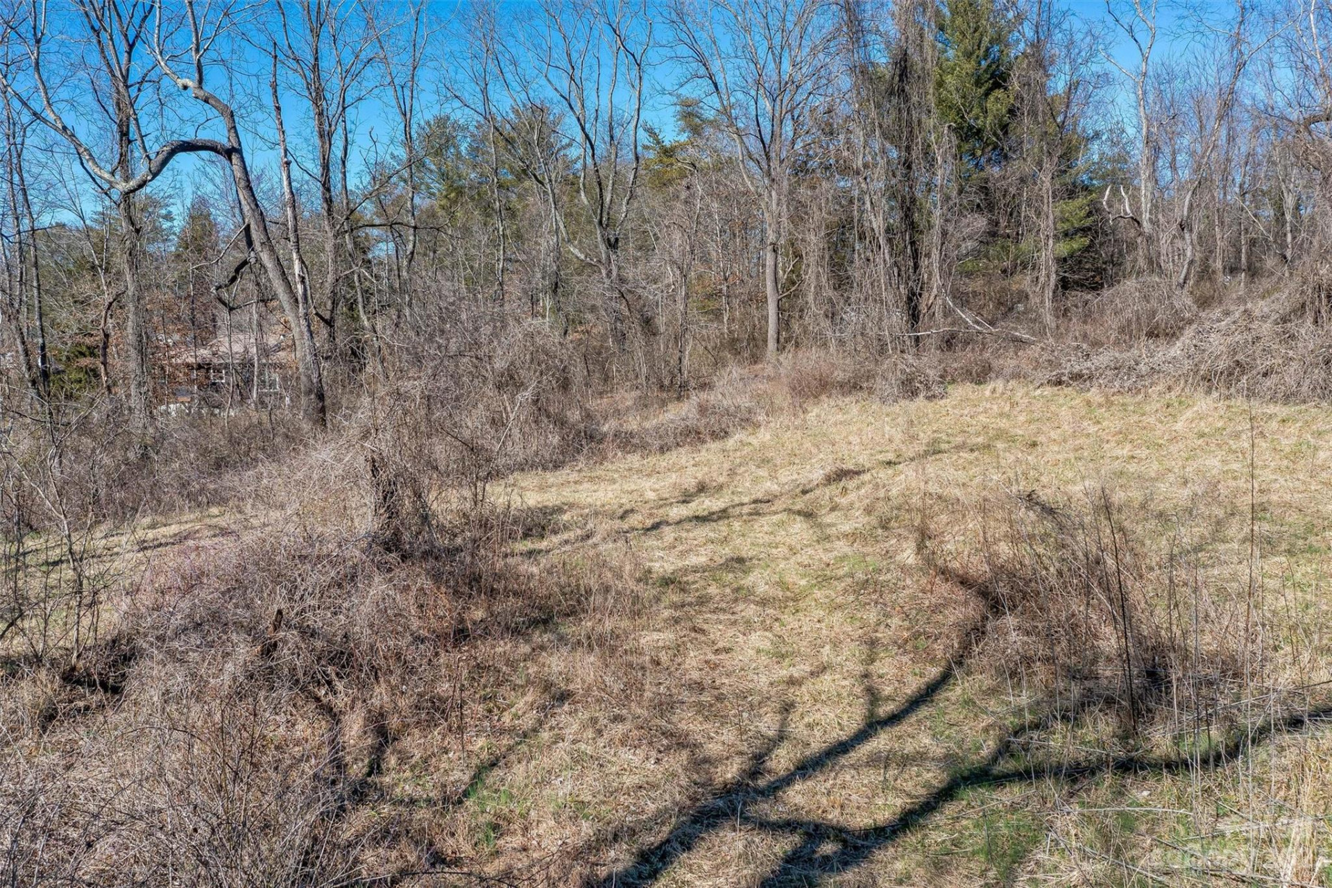 815 Emma Road - Photo 4