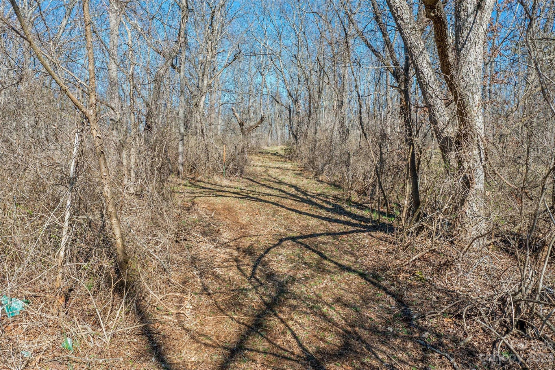 815 Emma Road - Photo 5