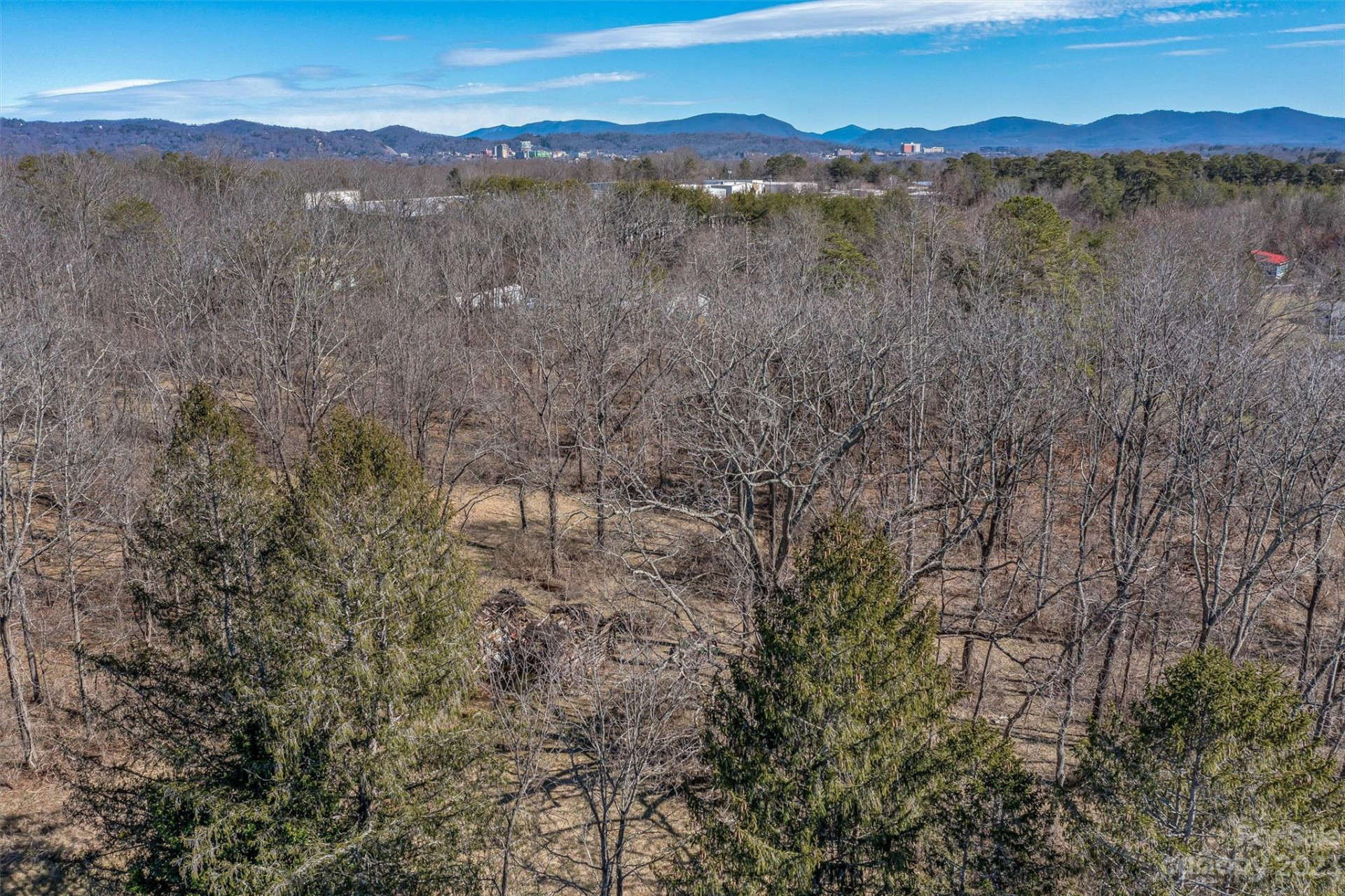 815 Emma Road - Photo 6