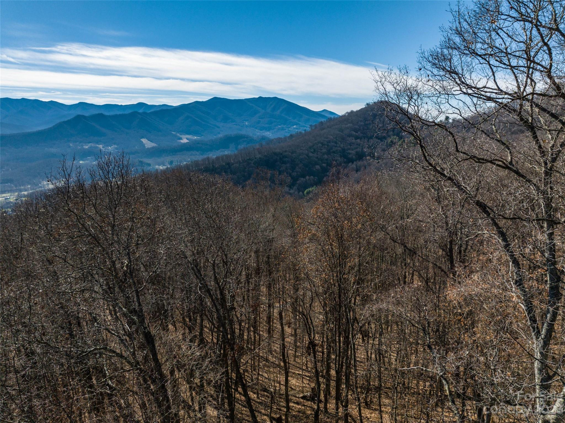 933 Dogwood Trail - Photo 11