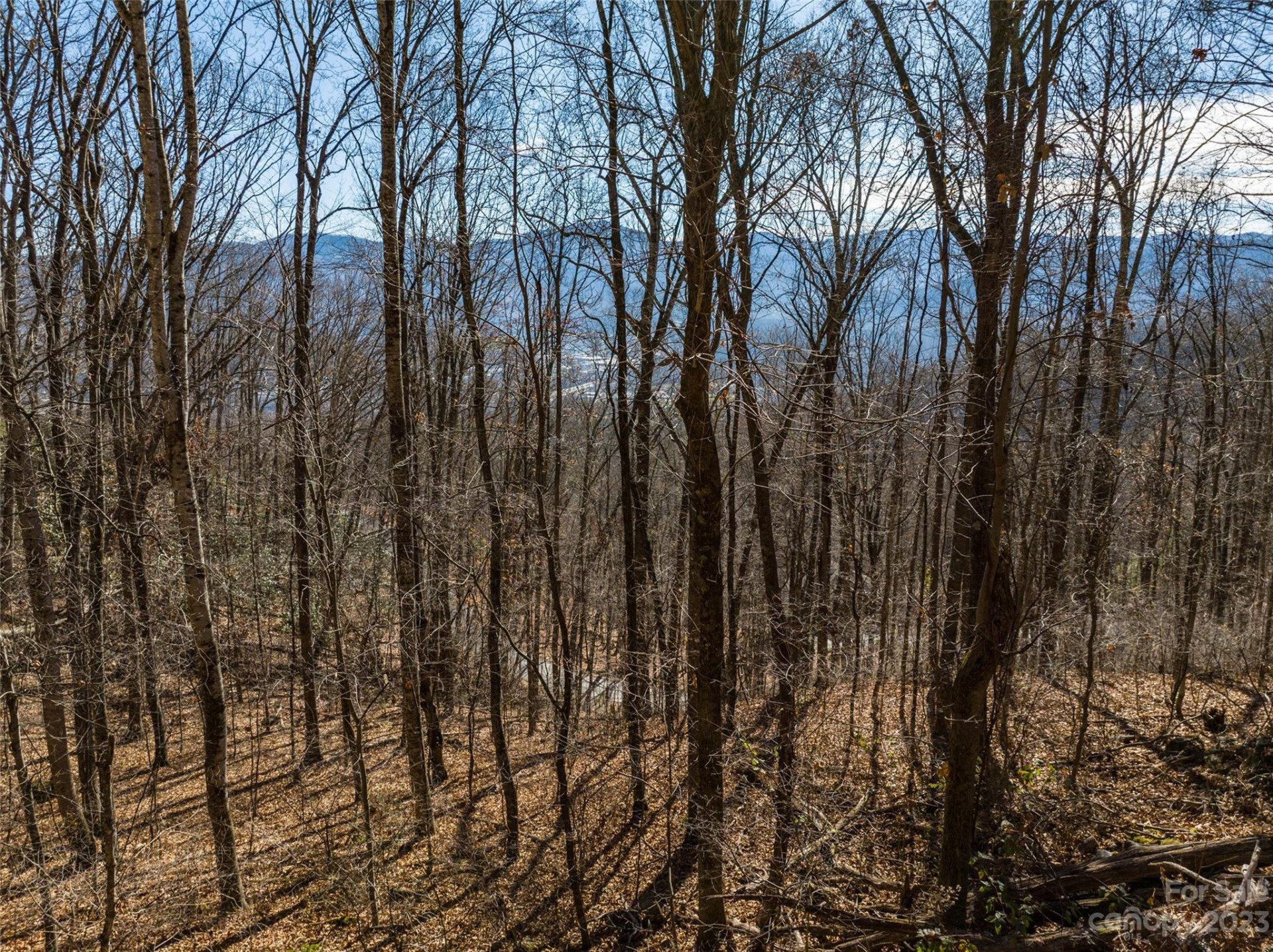 933 Dogwood Trail - Photo 12