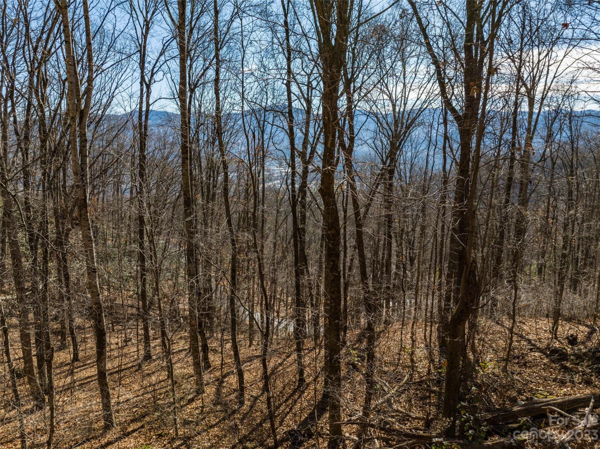 933 Dogwood Trail - Photo 12