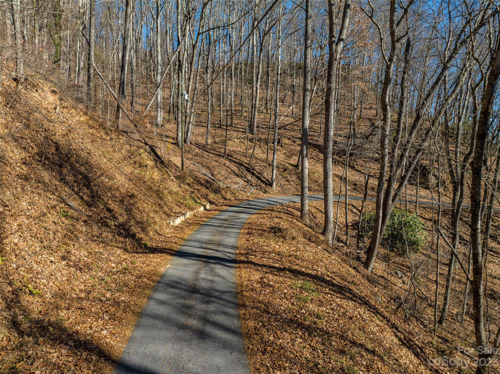 933 Dogwood Trail - Photo 13
