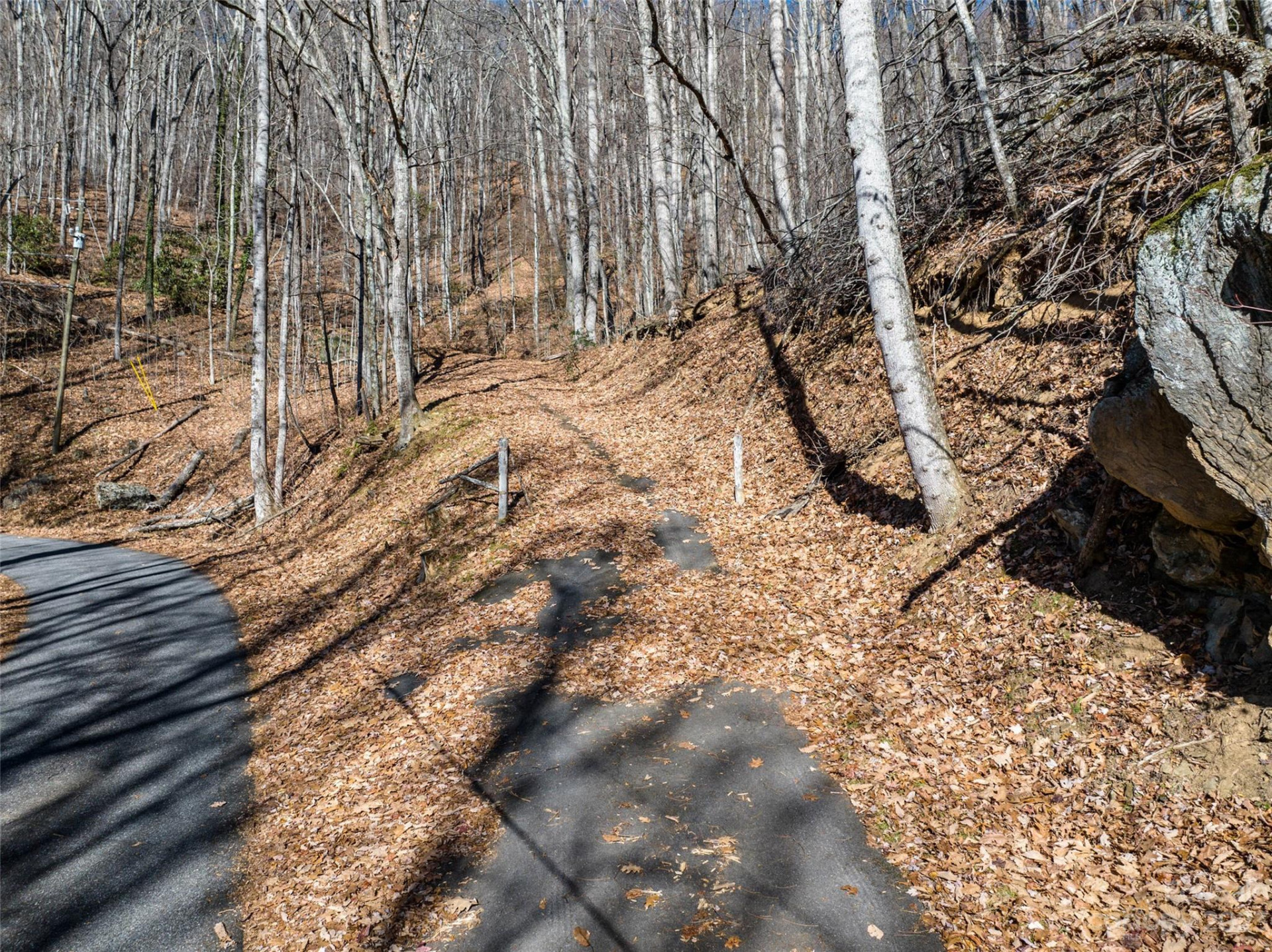 933 Dogwood Trail - Photo 14