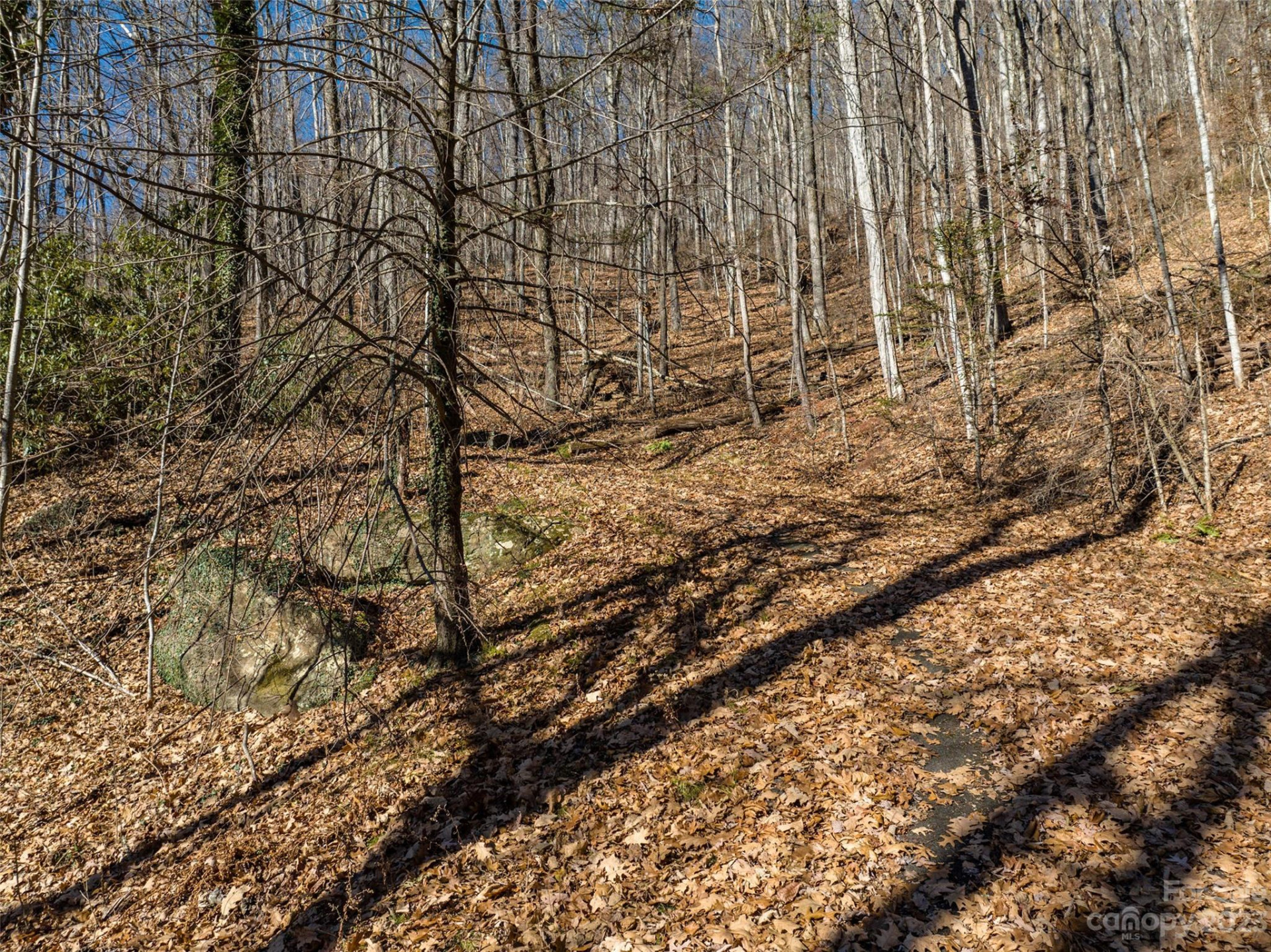 933 Dogwood Trail - Photo 15