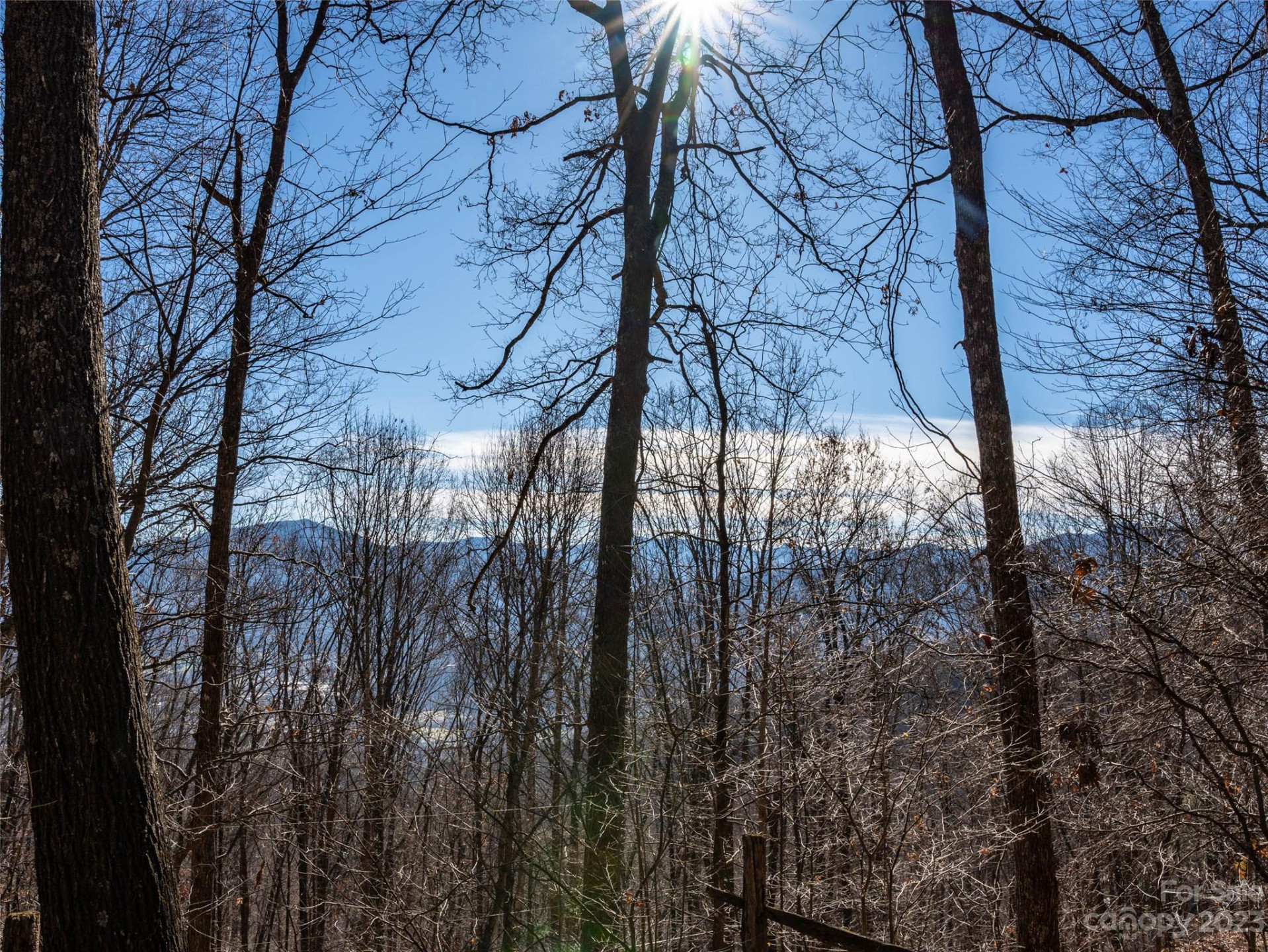 933 Dogwood Trail - Photo 5