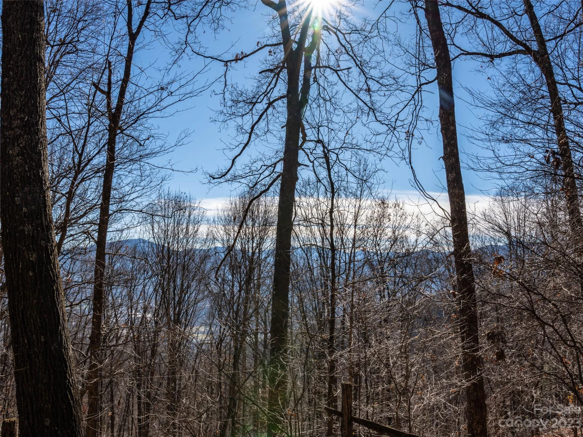933 Dogwood Trail - Photo 5