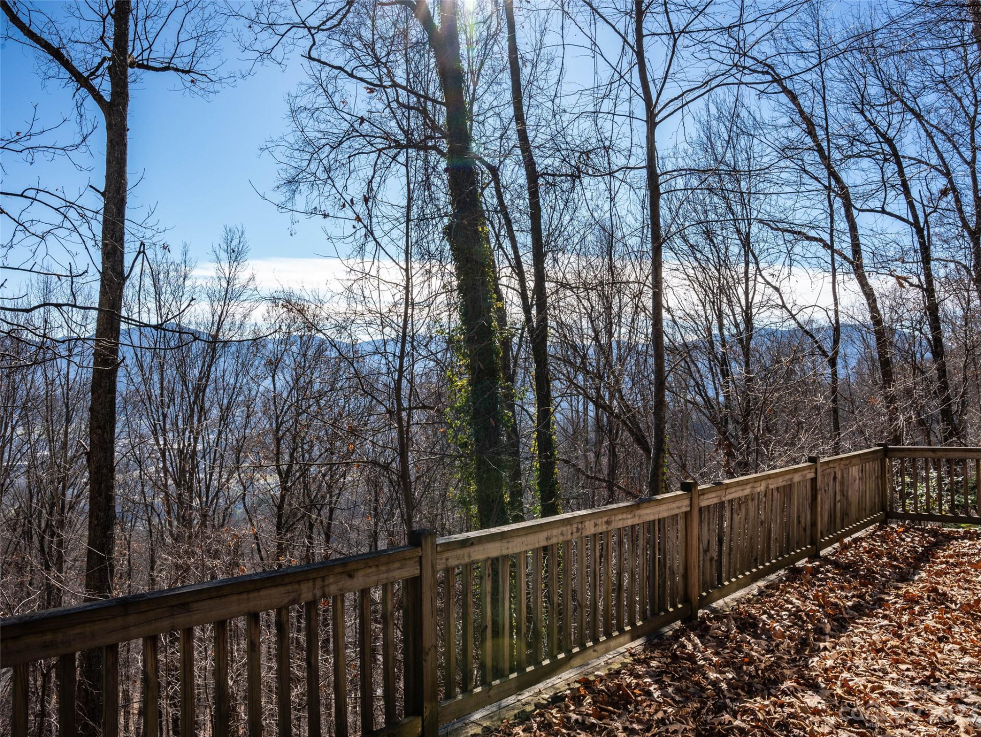 933 Dogwood Trail - Photo 6