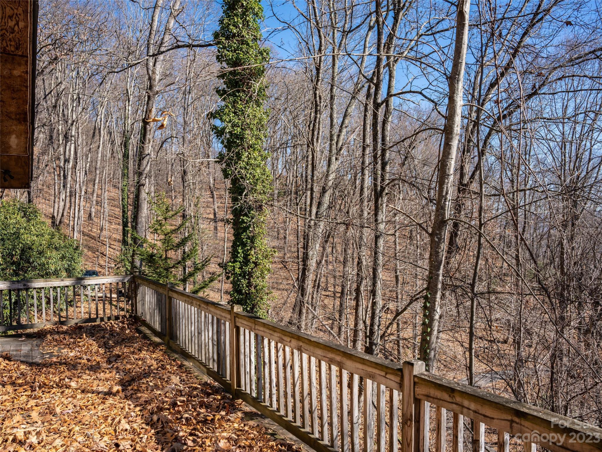 933 Dogwood Trail - Photo 7