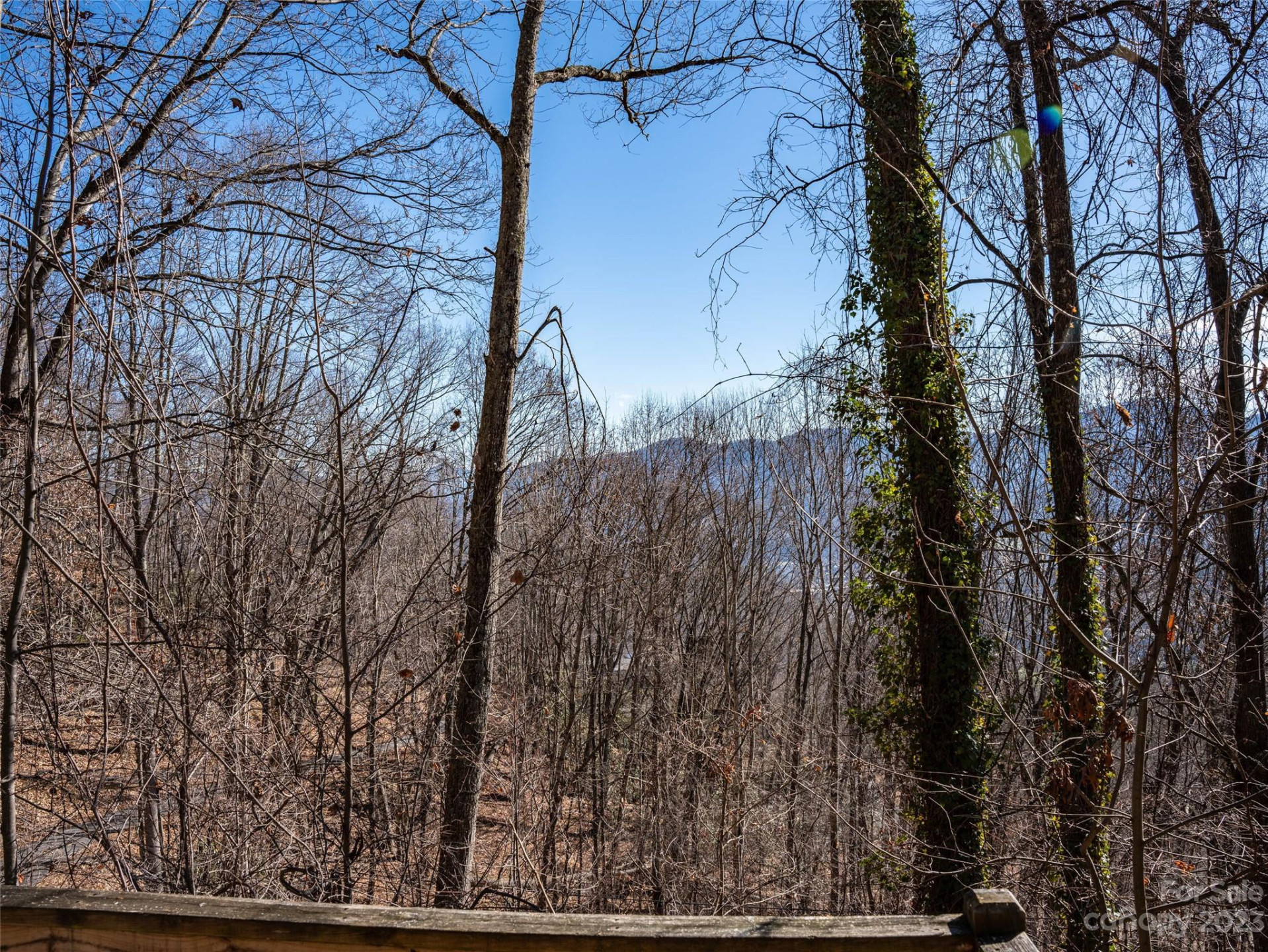 933 Dogwood Trail - Photo 8