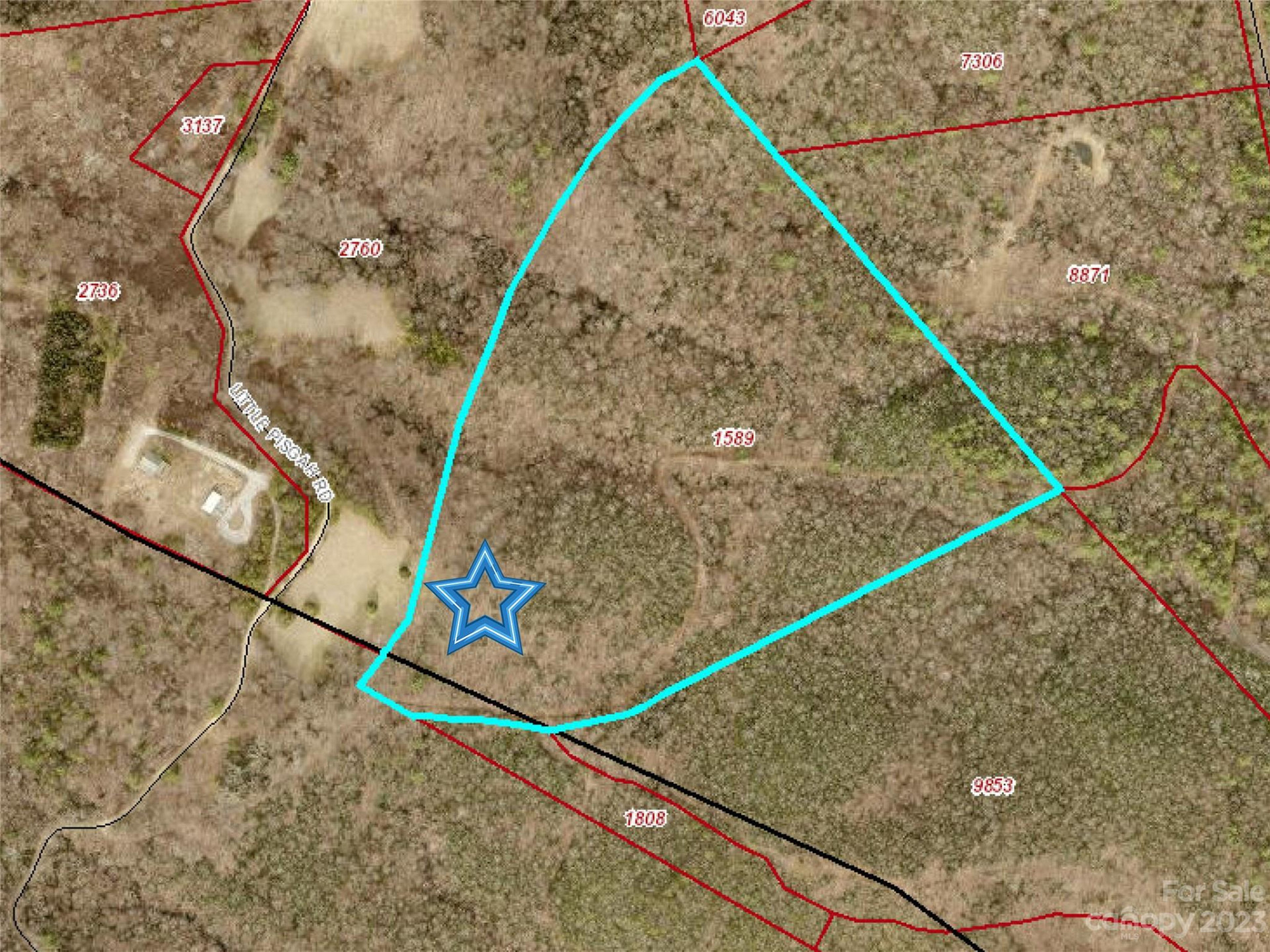 TBD Little Pisgah Road - Photo 2