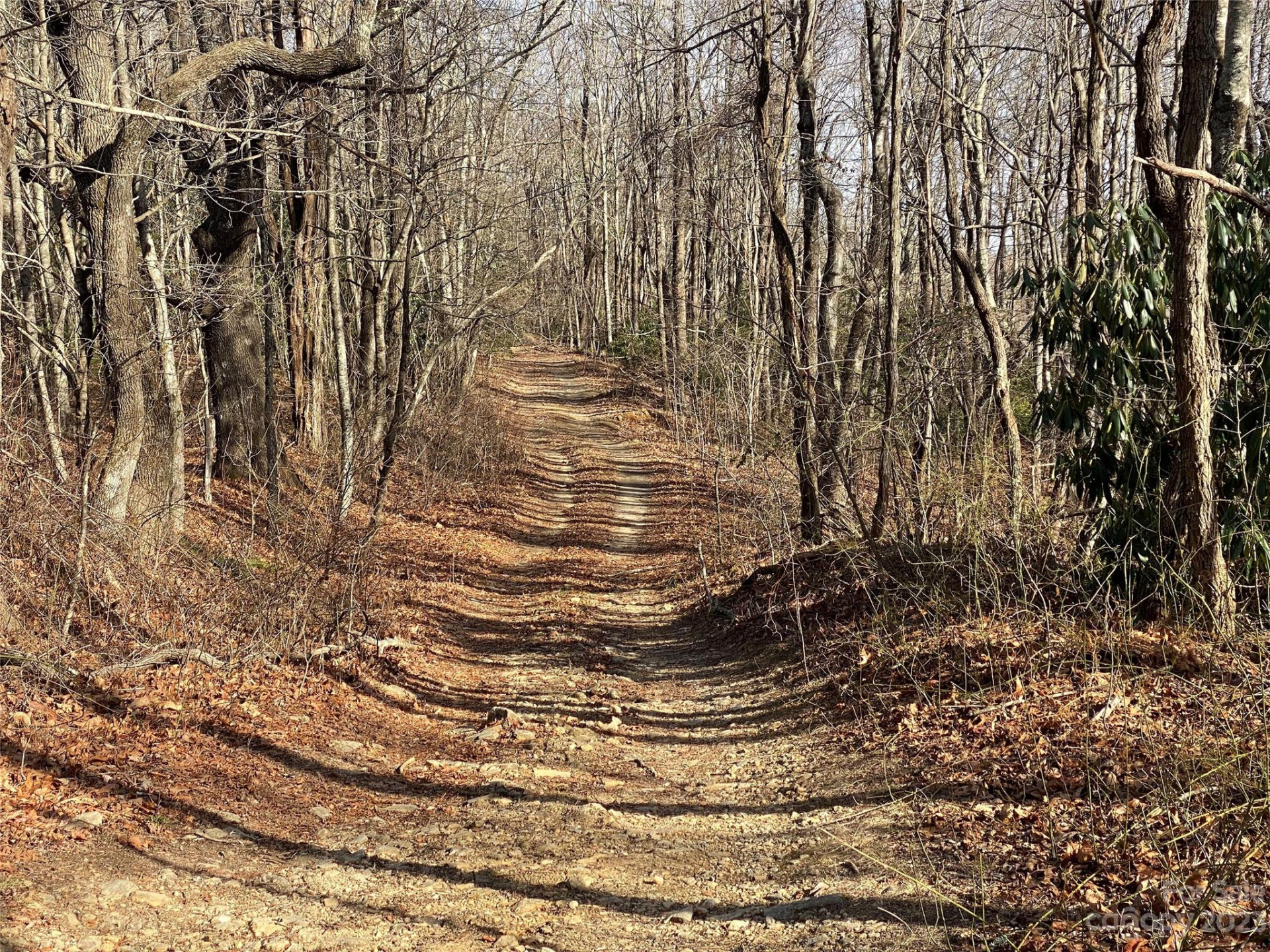 TBD Little Pisgah Road - Photo 11