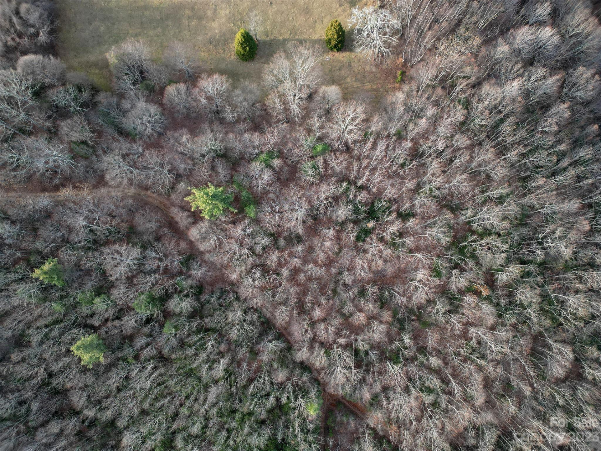 TBD Little Pisgah Road - Photo 12