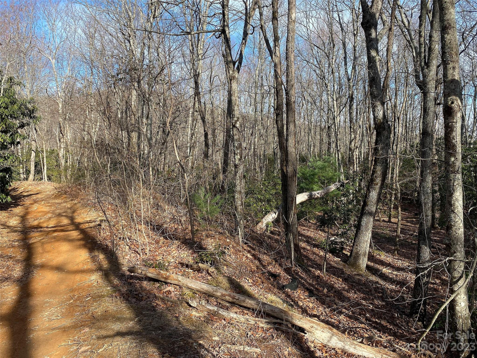 TBD Little Pisgah Road - Photo 14