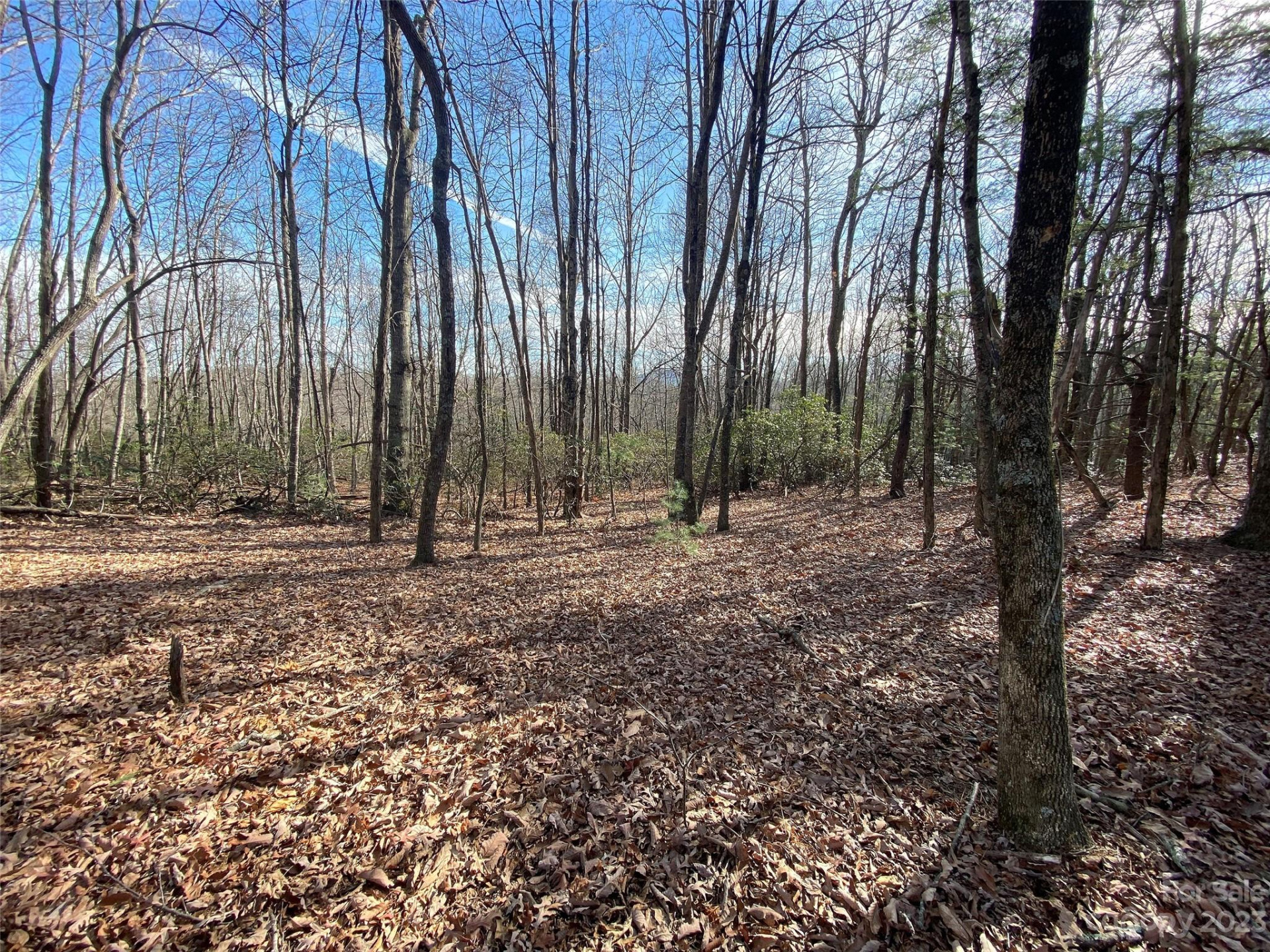 TBD Little Pisgah Road - Photo 19