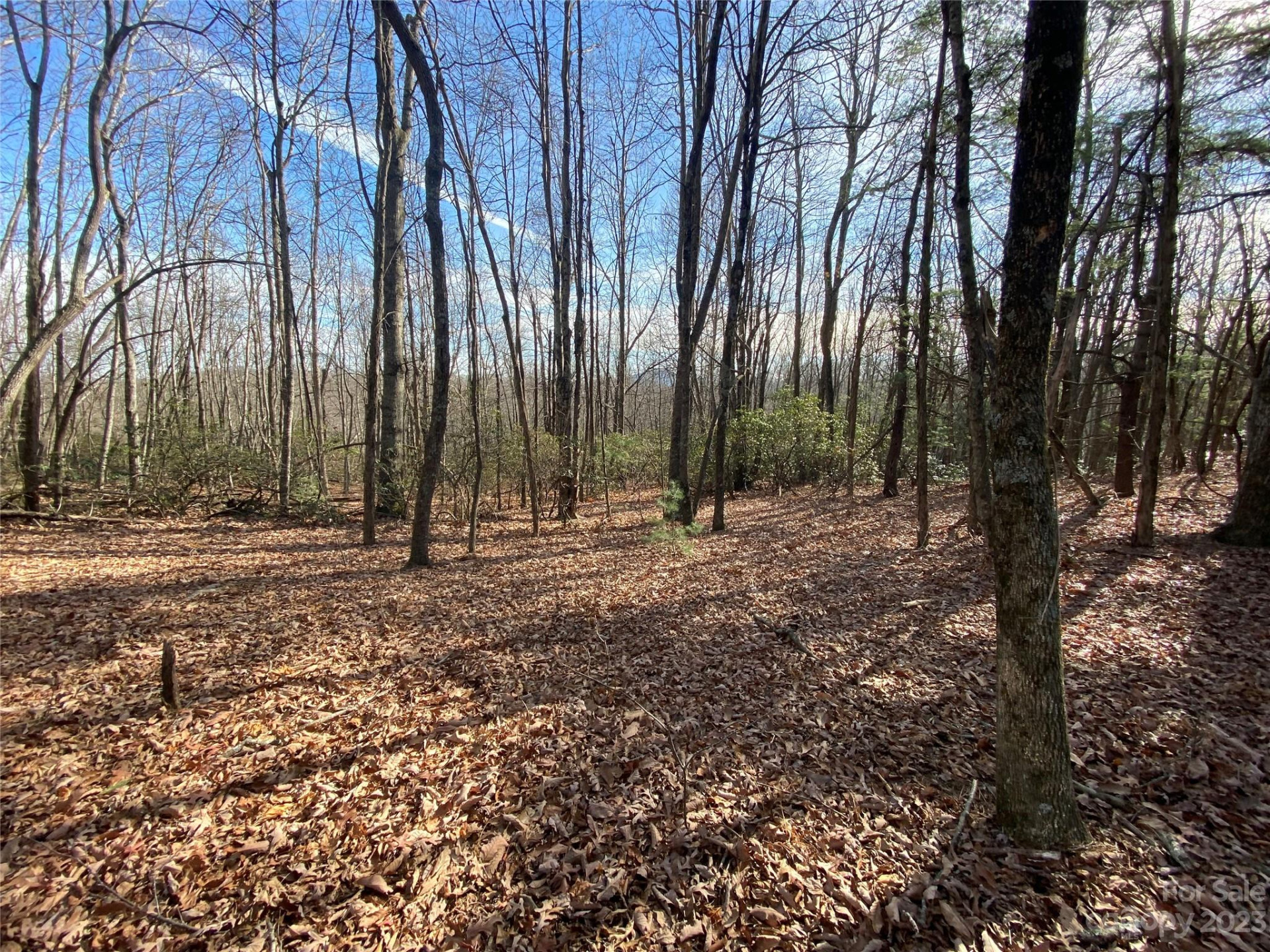 TBD Little Pisgah Road - Photo 4