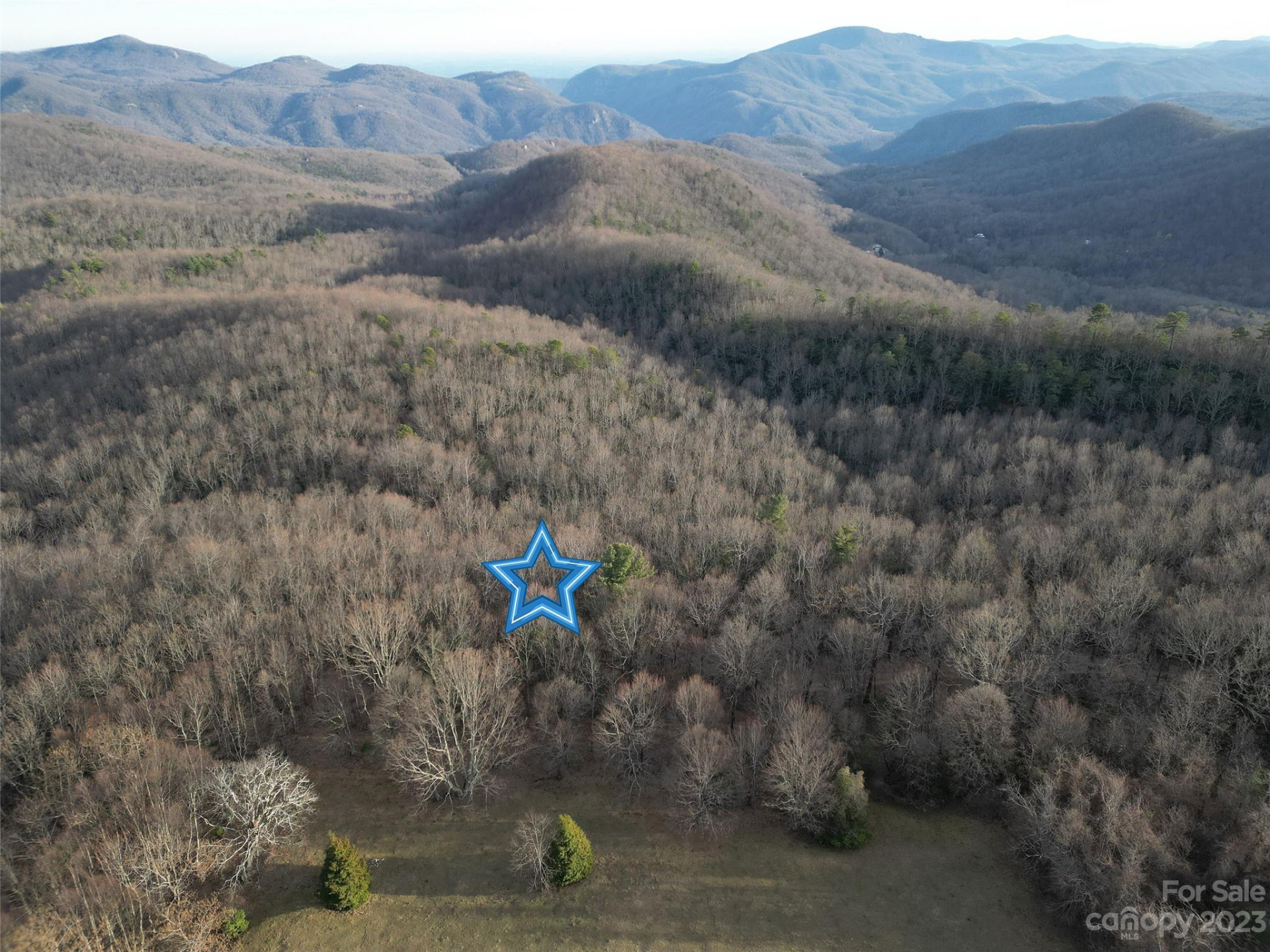 TBD Little Pisgah Road - Photo 5