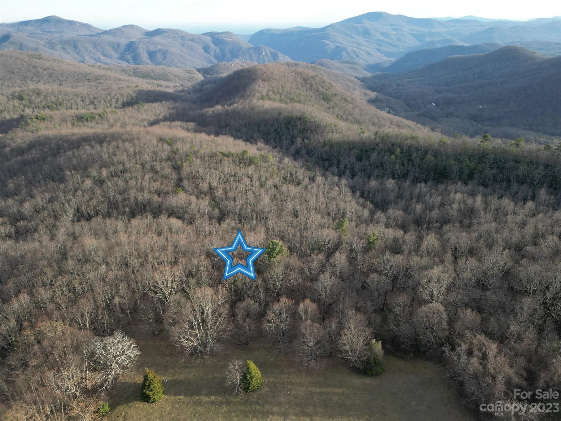 TBD Little Pisgah Road - Photo 5