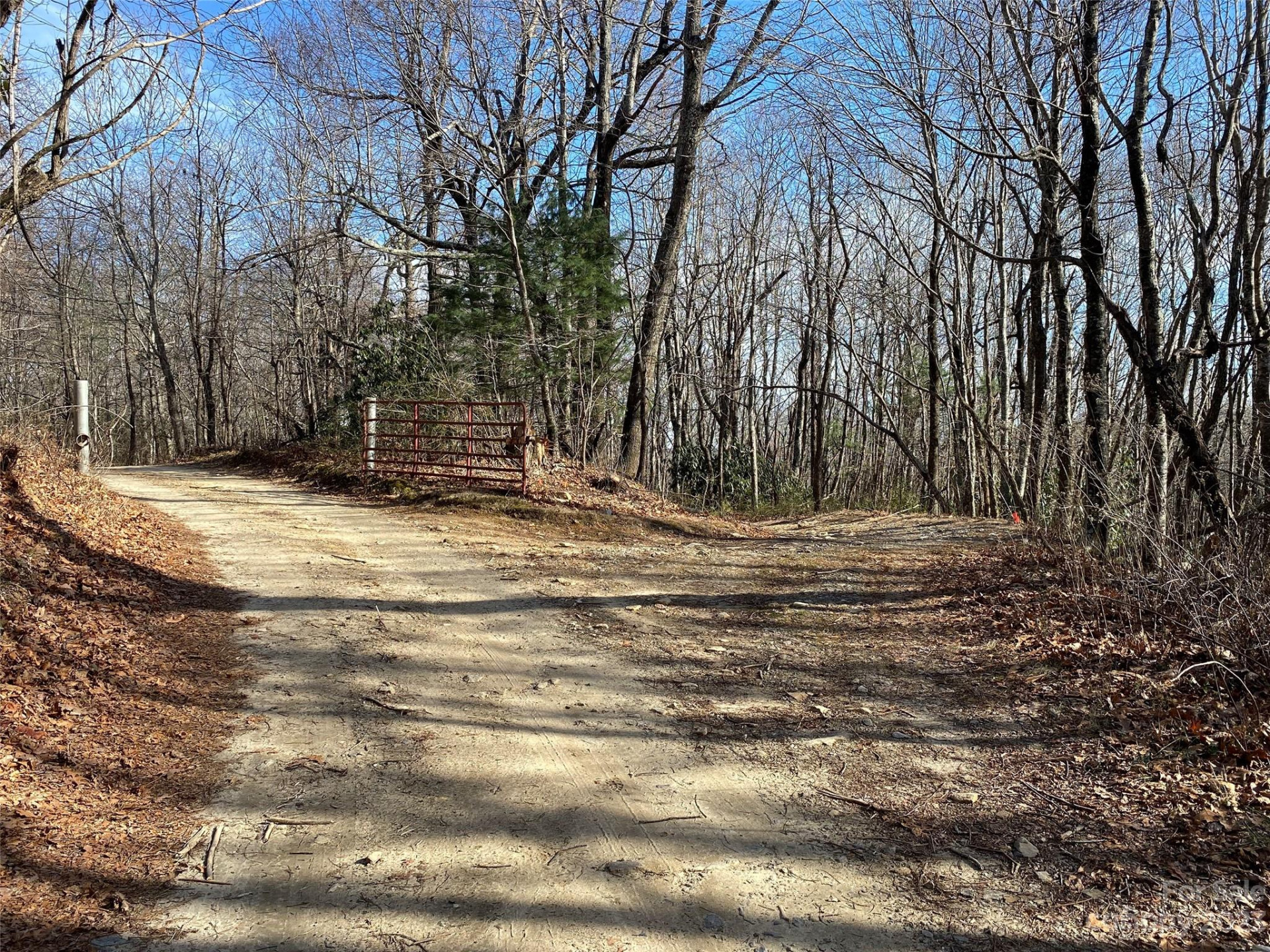 TBD Little Pisgah Road - Photo 6