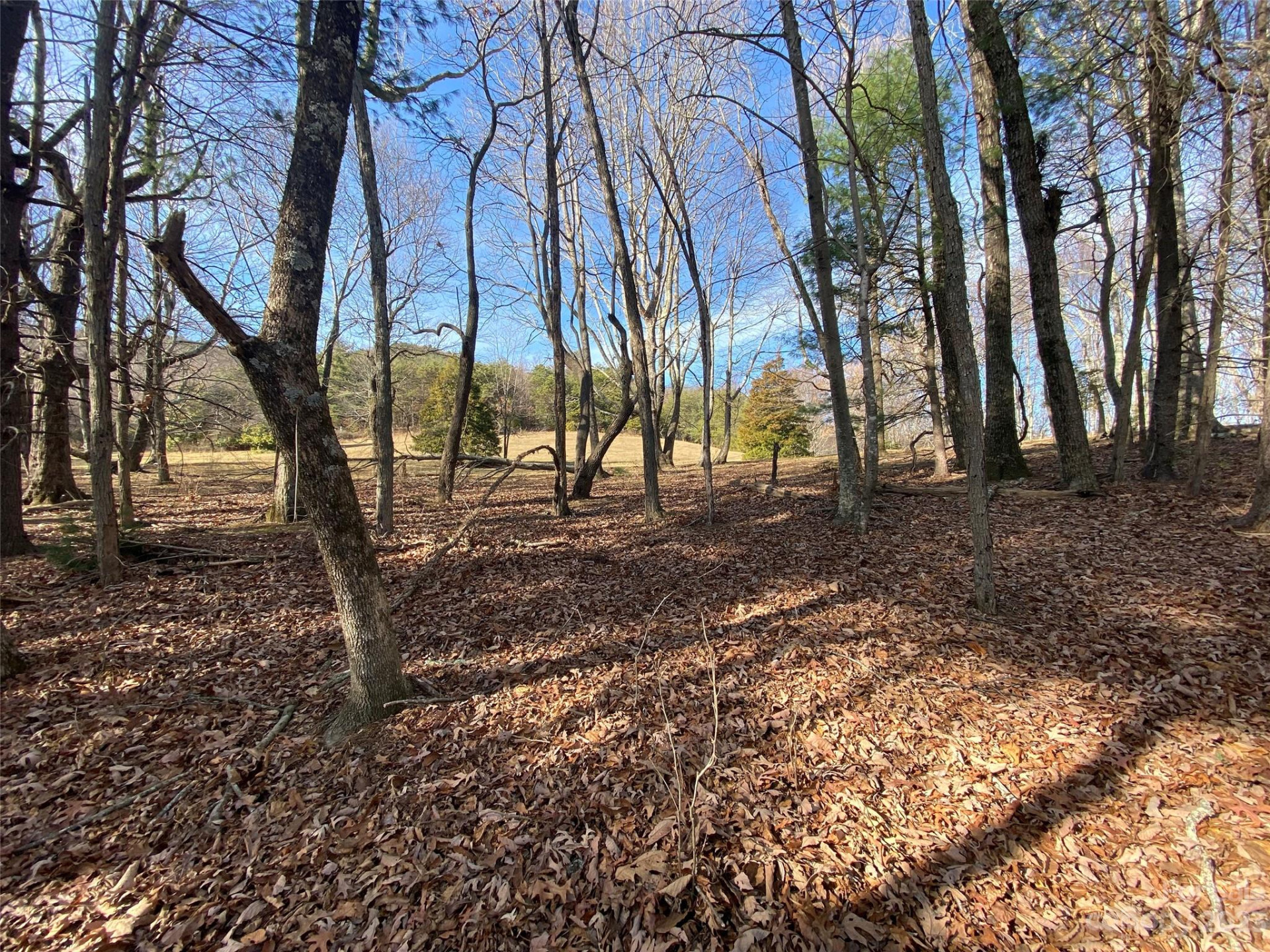 TBD Little Pisgah Road - Photo 8