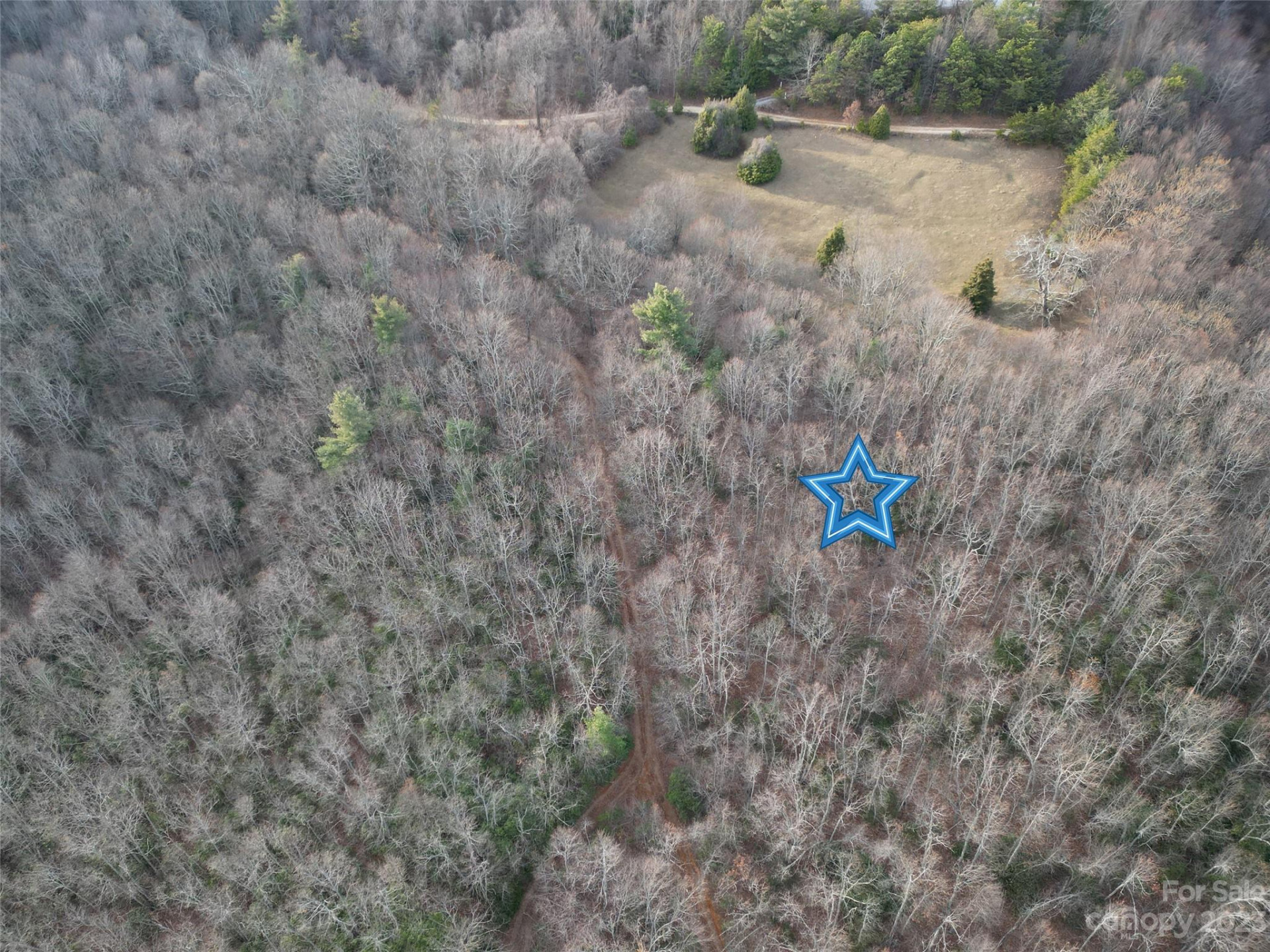 TBD Little Pisgah Road - Photo 10