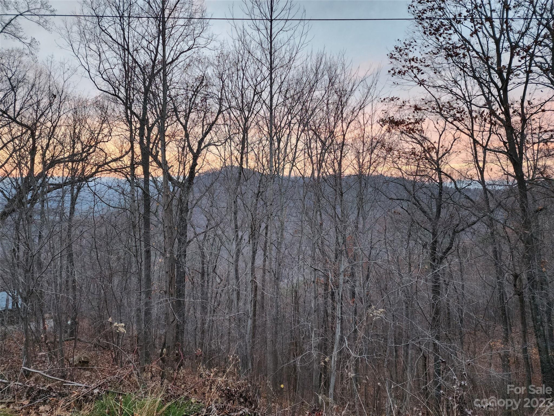 22 Amelia Lane - Photo 14