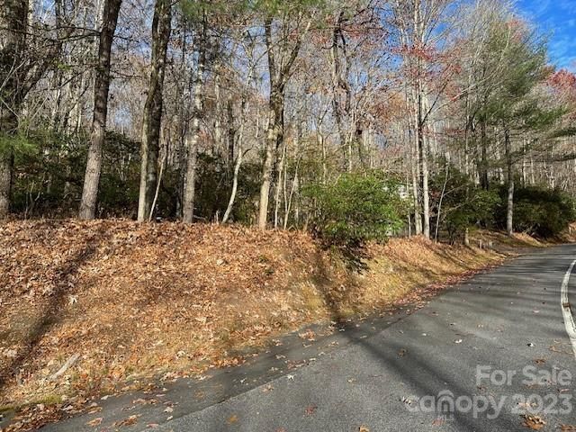 TBD Echota Lane, Brevard, NC, 28712