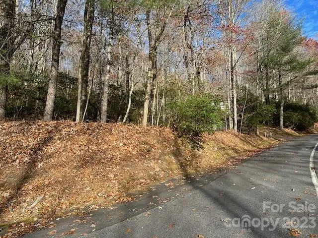TBD Echota Lane