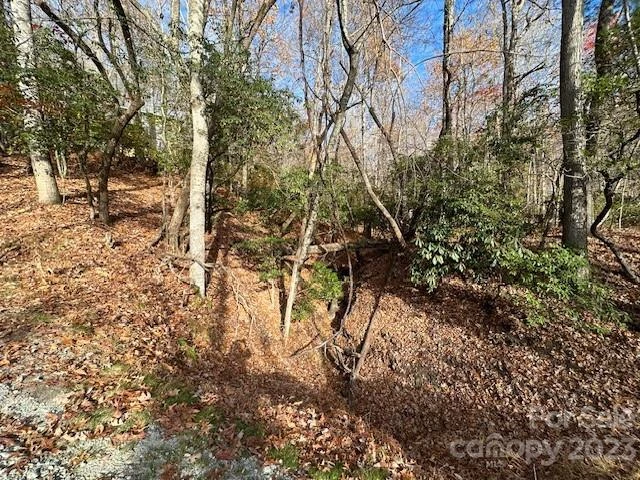 TBD Echota Lane - Photo 2