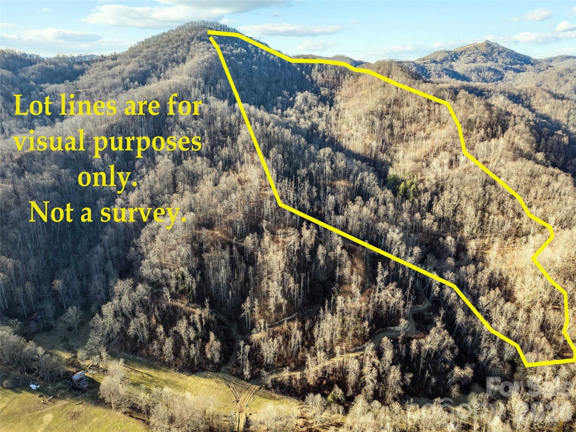 00 NC 209 Highway - Photo 2