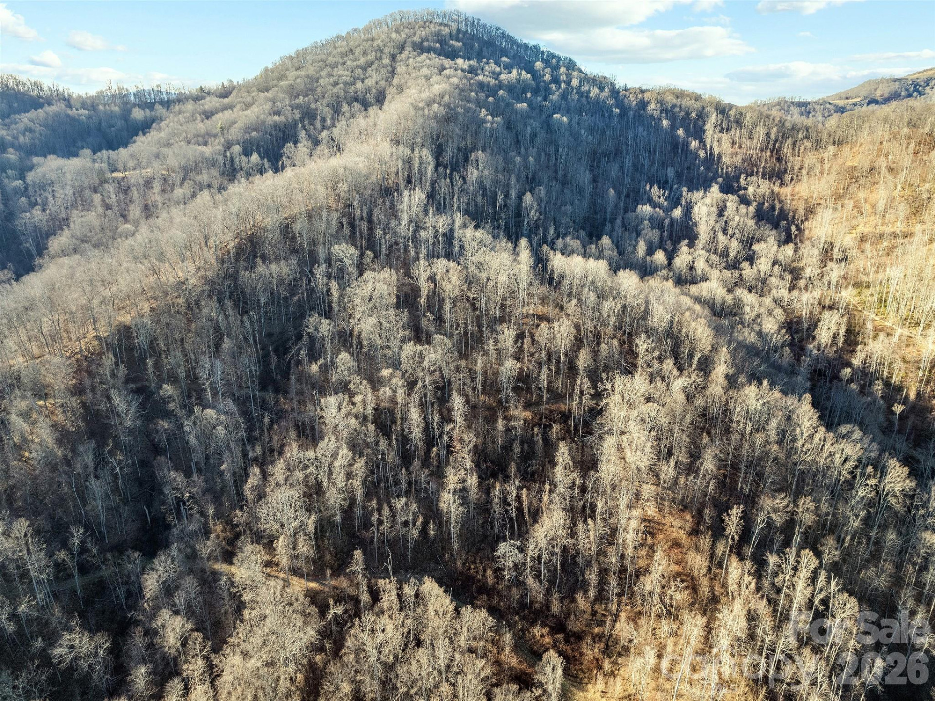 00 NC 209 Highway - Photo 13