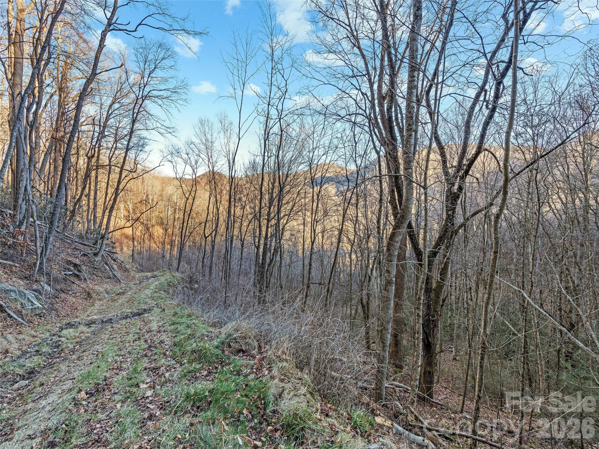 00 NC 209 Highway - Photo 16