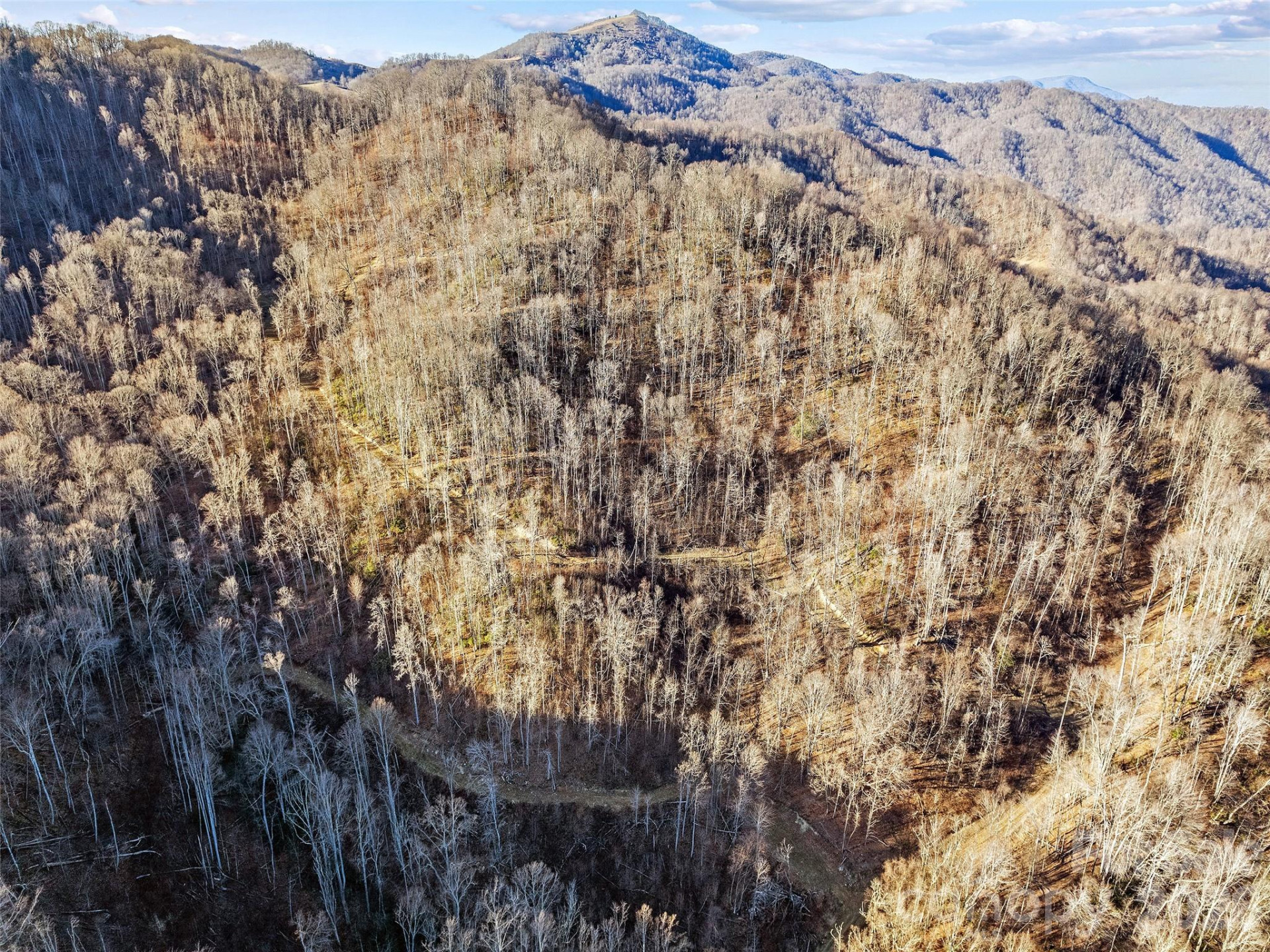 00 NC 209 Highway - Photo 17