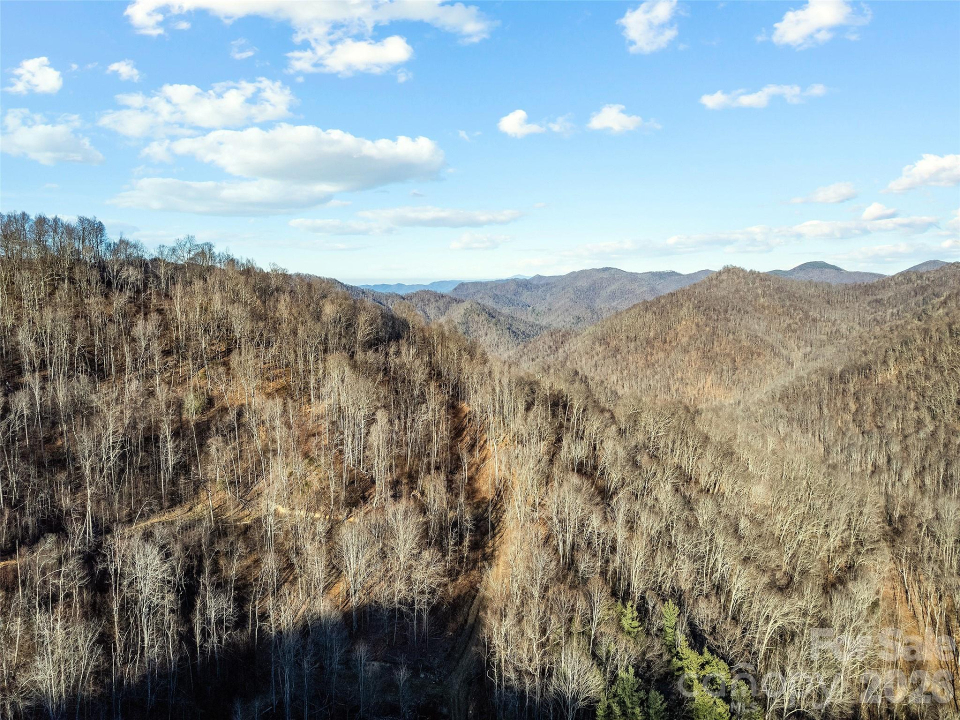 00 NC 209 Highway - Photo 18