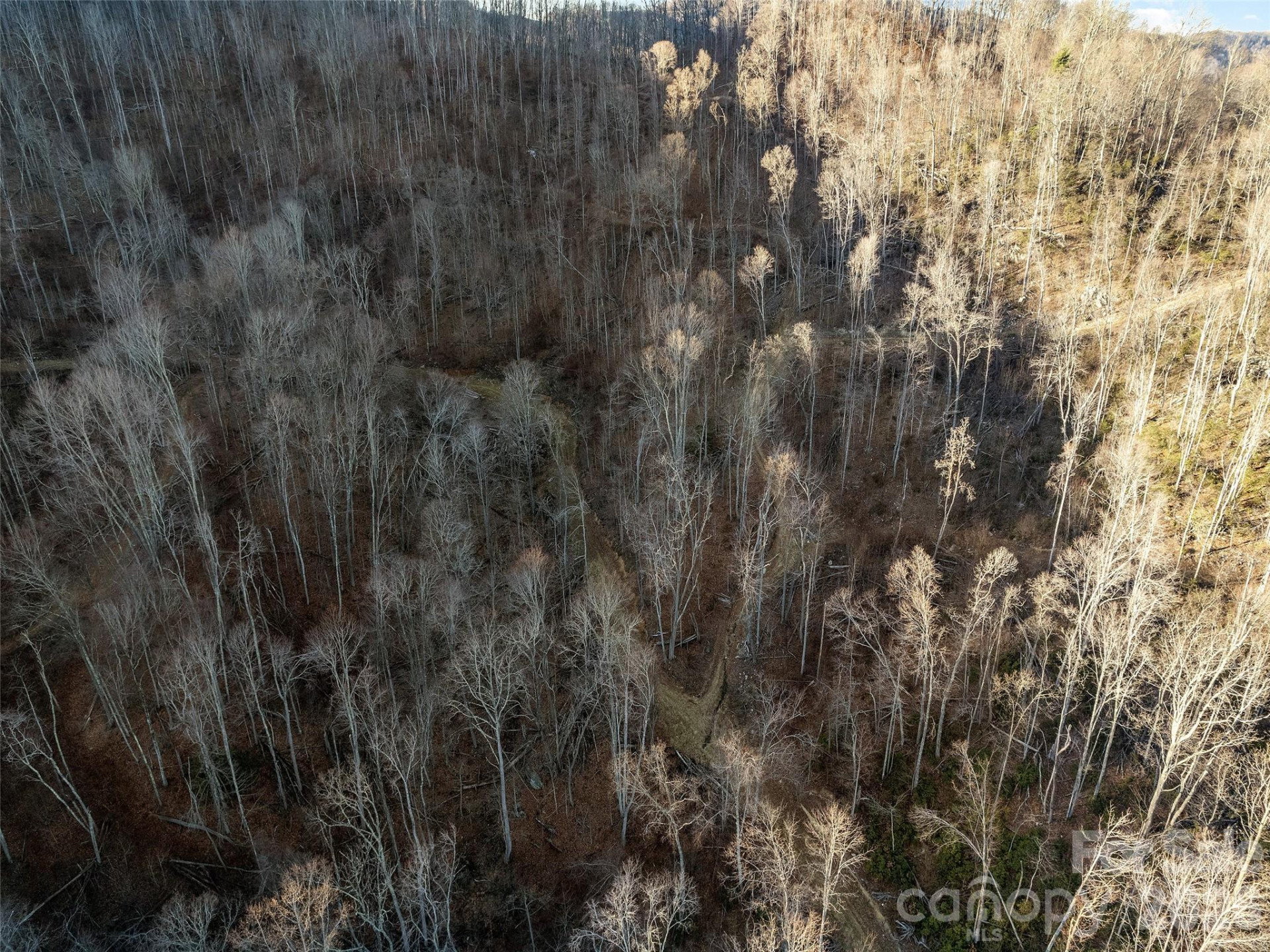 00 NC 209 Highway - Photo 20