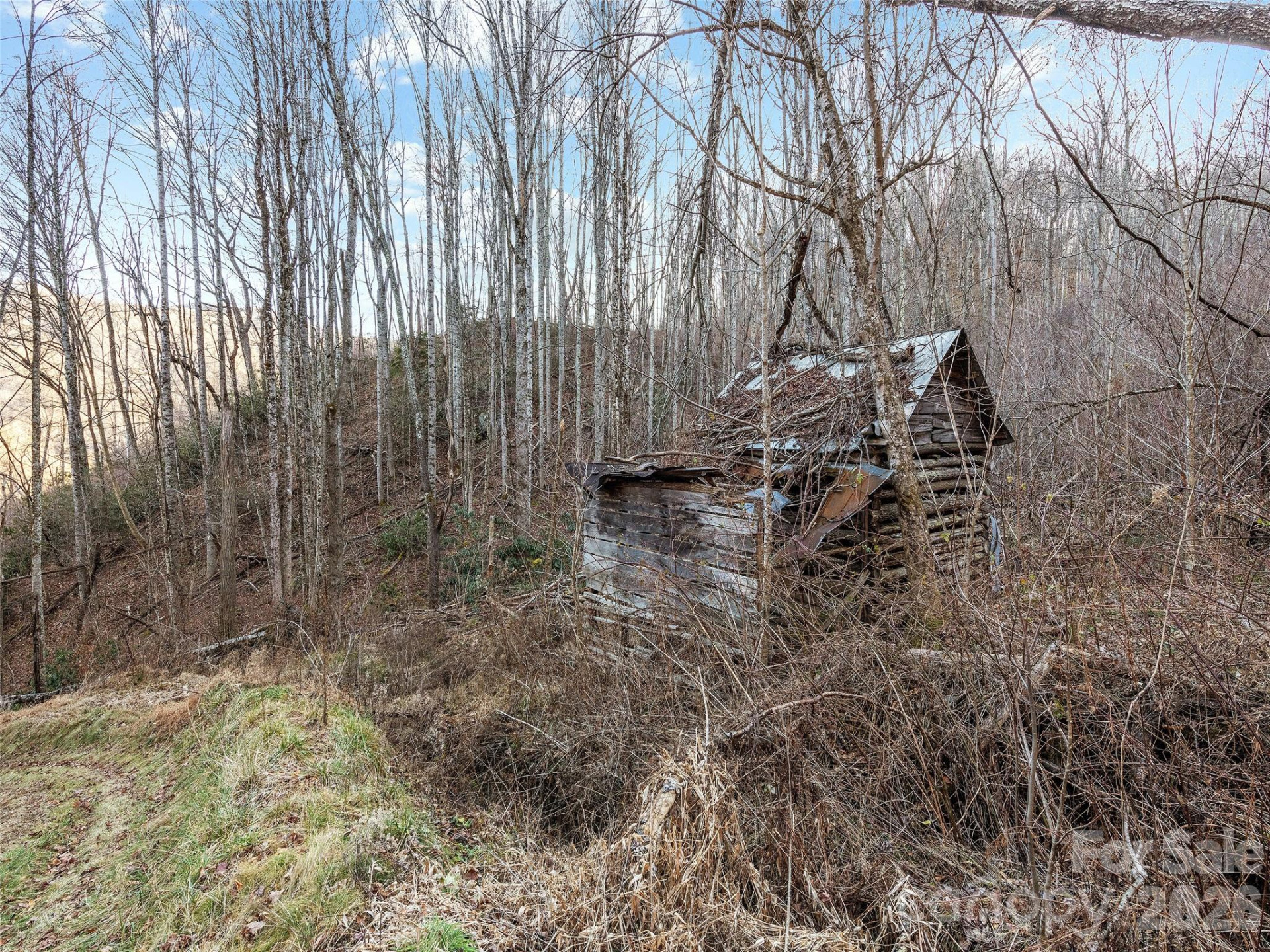 00 NC 209 Highway - Photo 3