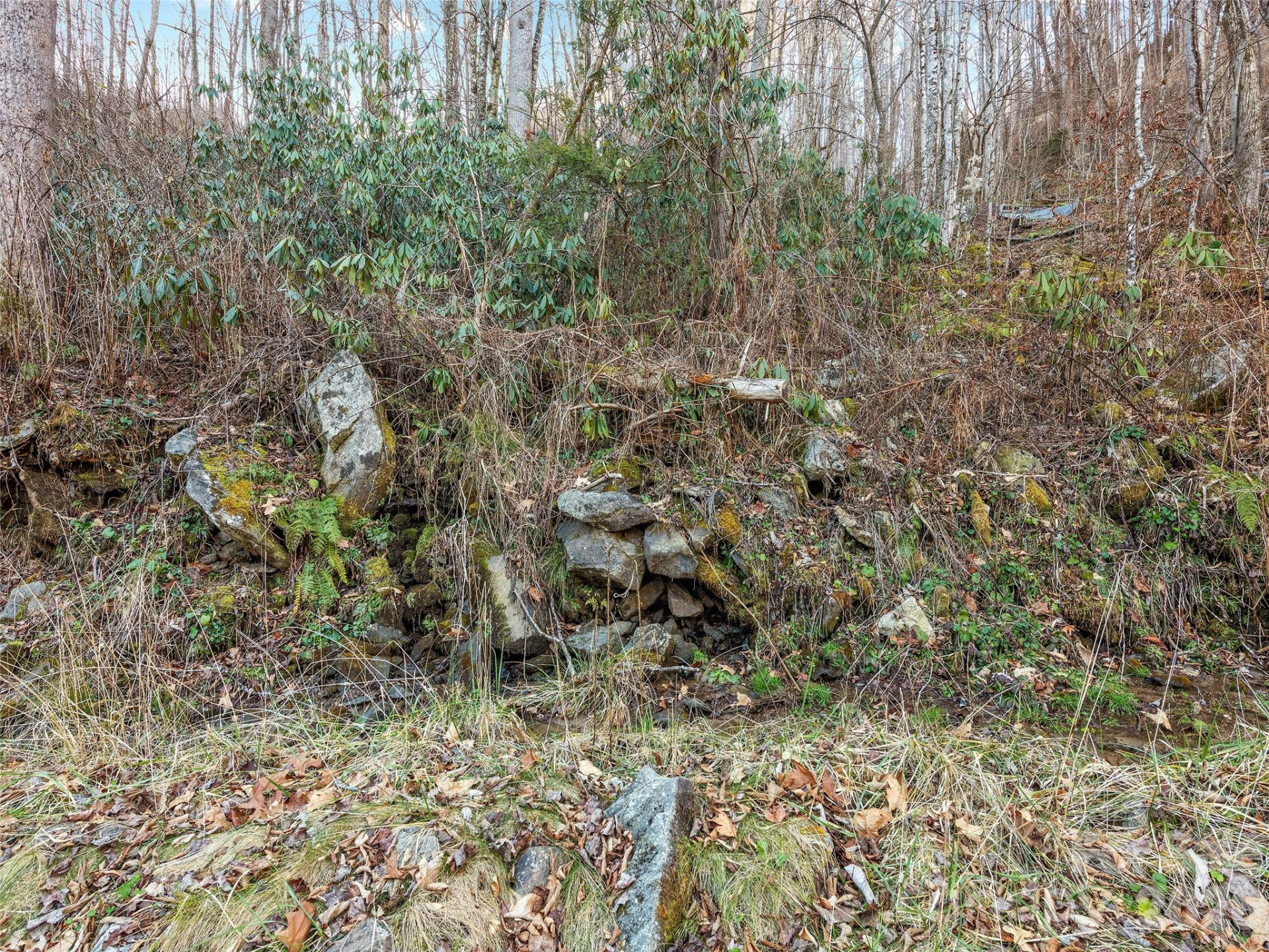 00 NC 209 Highway - Photo 23