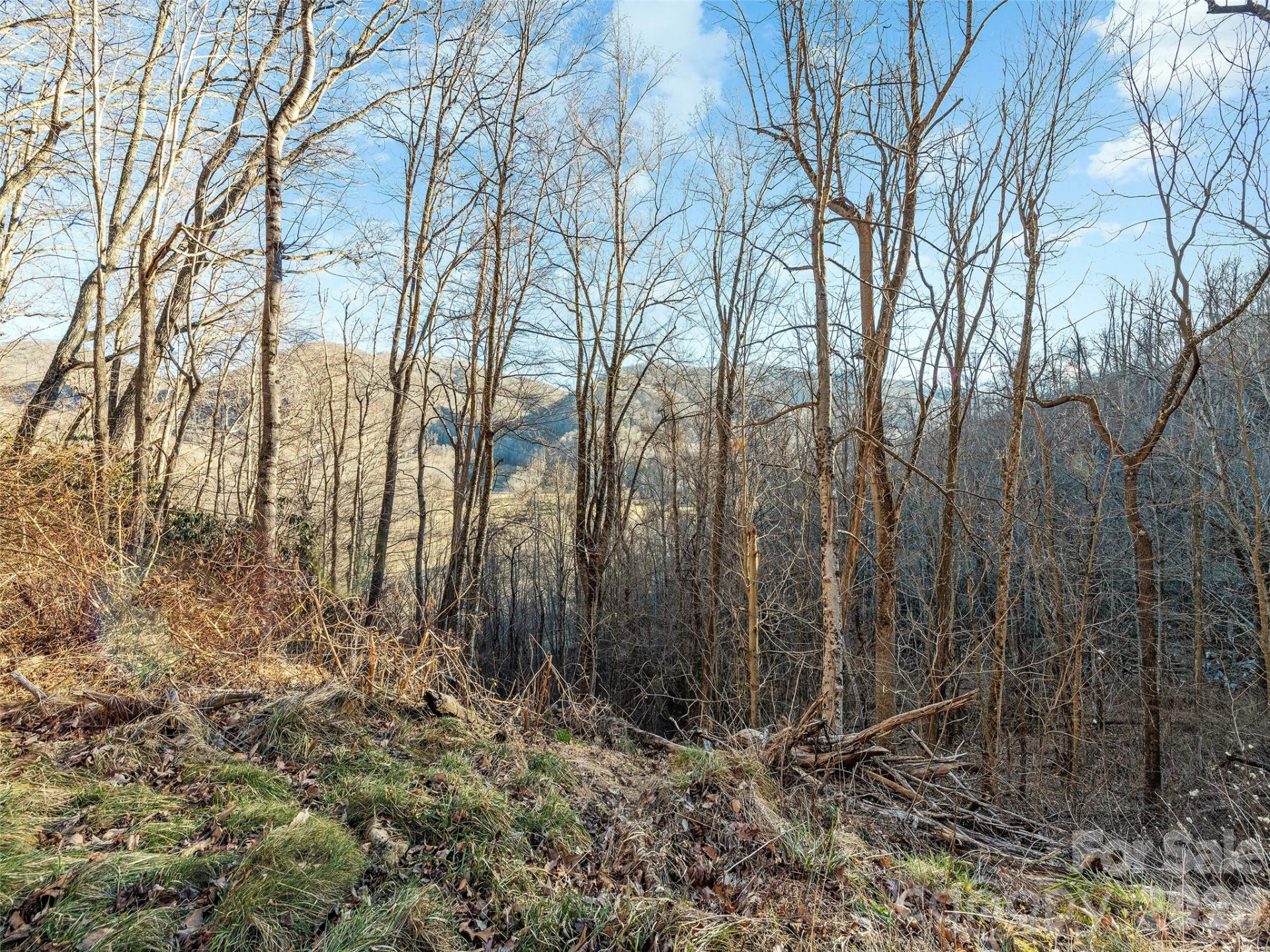 00 NC 209 Highway - Photo 24