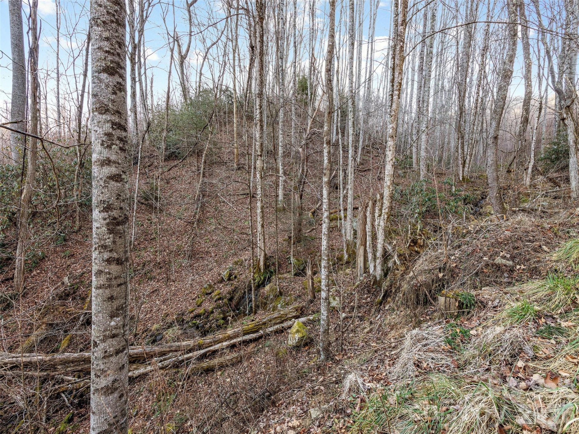 00 NC 209 Highway - Photo 25