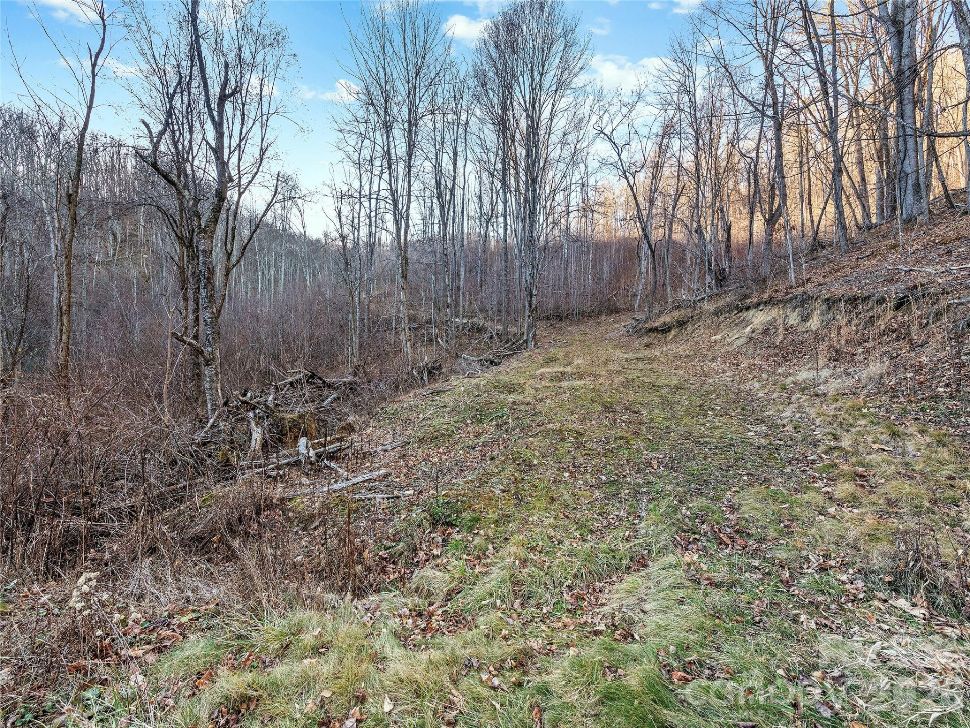 00 NC 209 Highway - Photo 26