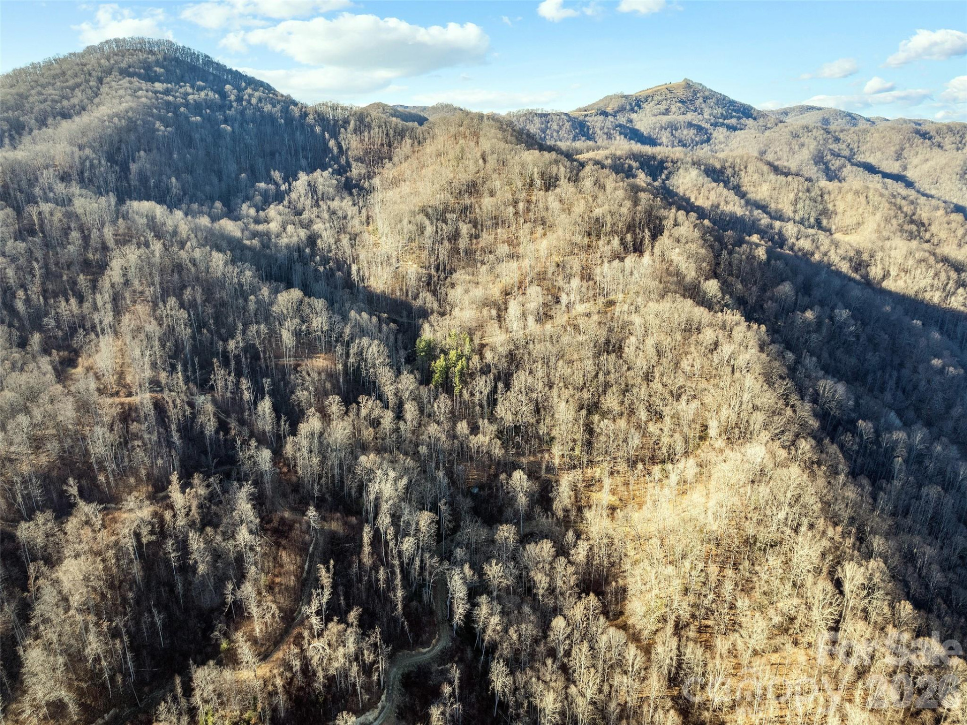 00 NC 209 Highway - Photo 5