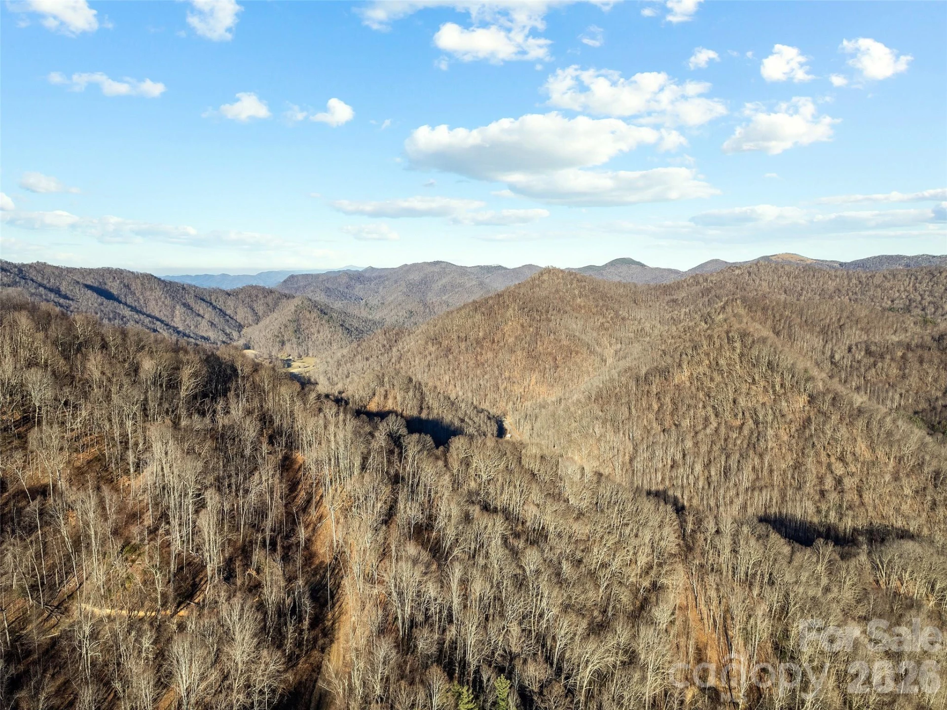 00 NC 209 Highway - Photo 6