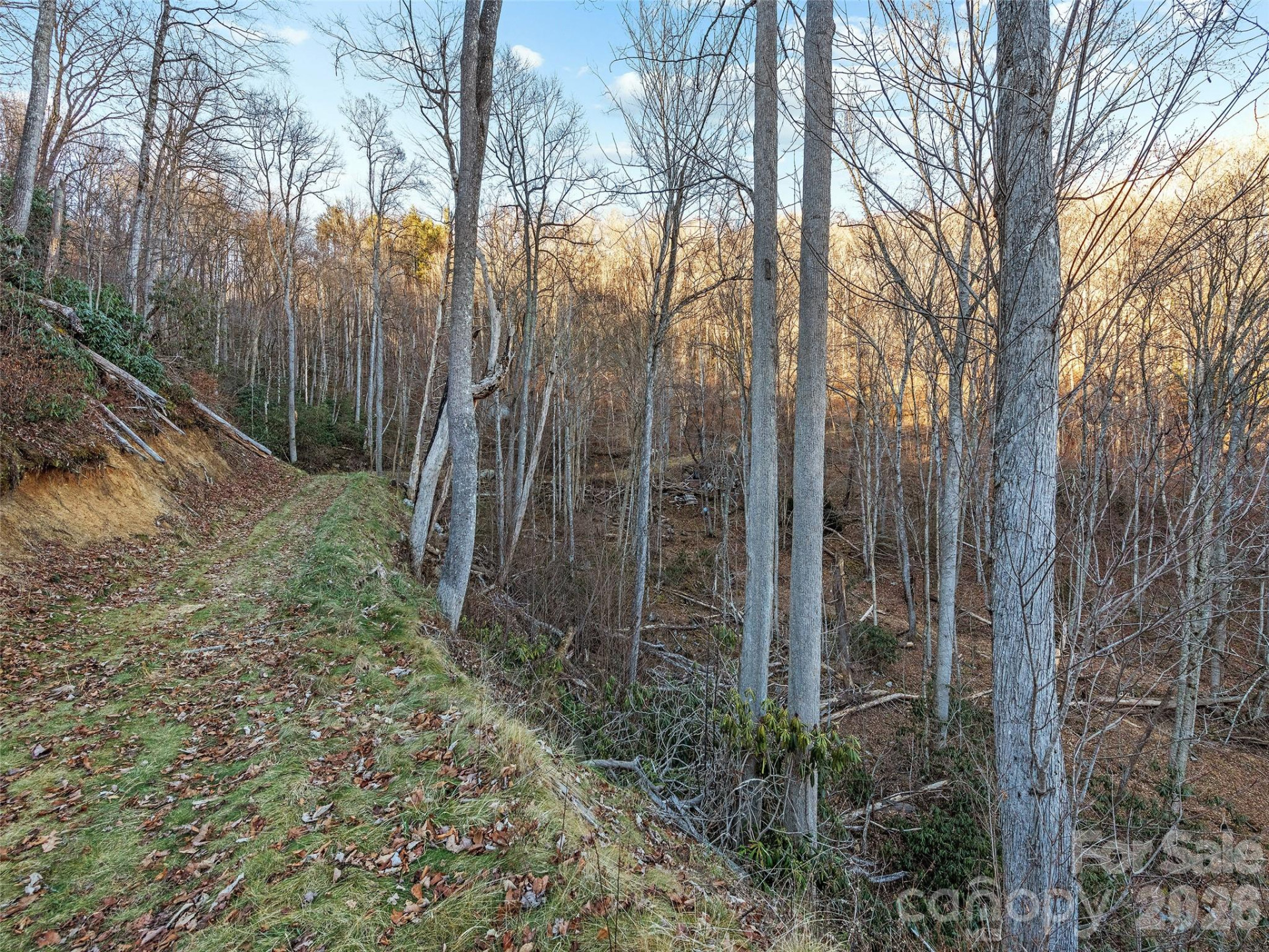 00 NC 209 Highway - Photo 7