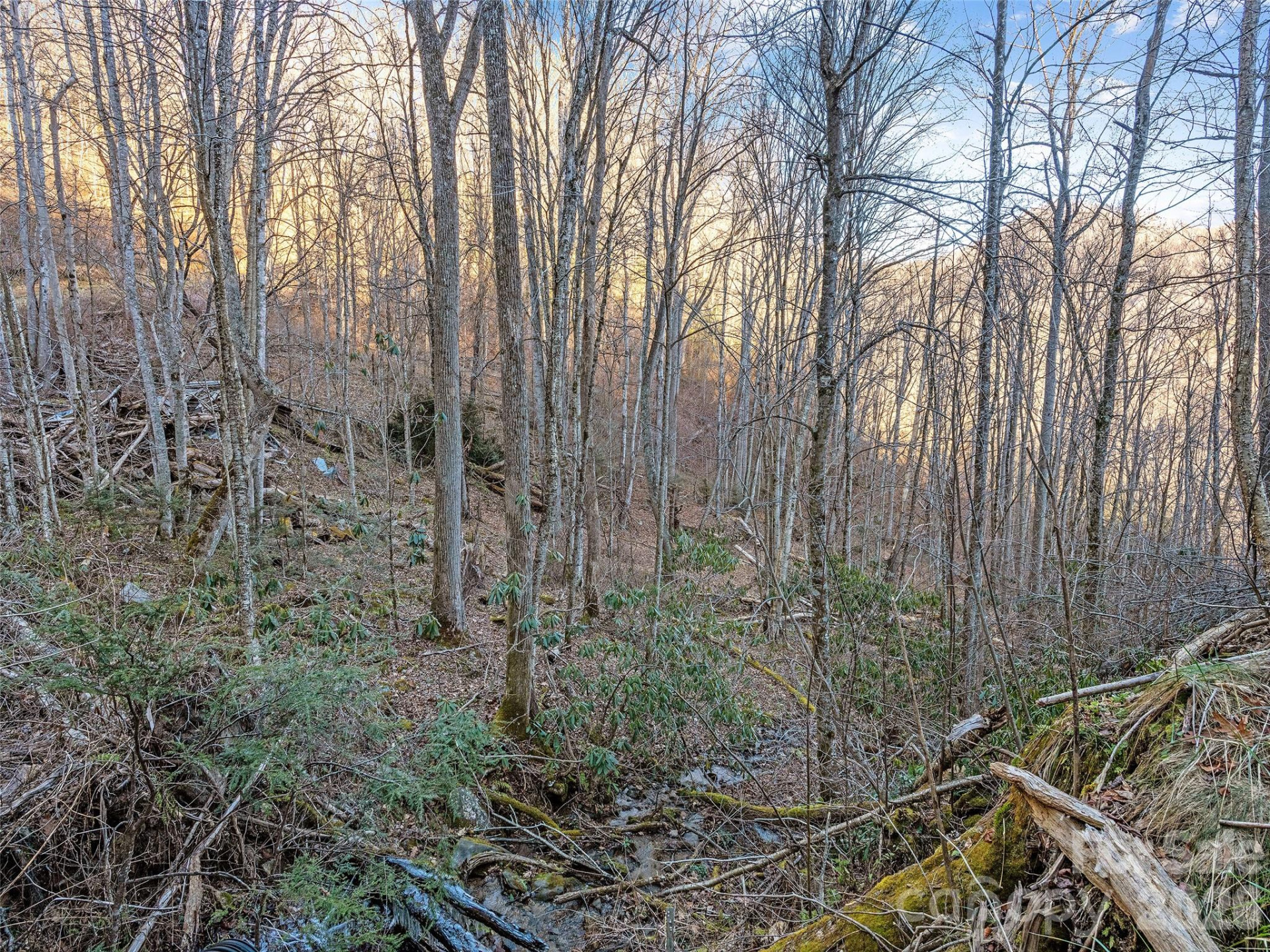 00 NC 209 Highway - Photo 8