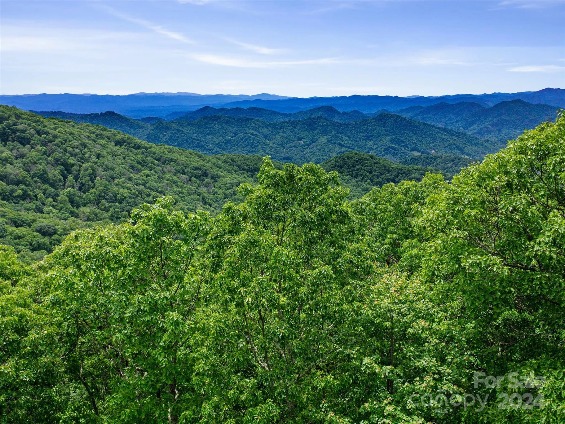 Lot 17 Old Growth Forest Road