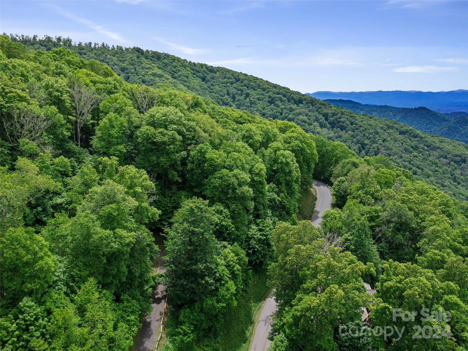 Lot 17 Old Growth Forest Road - Photo 2