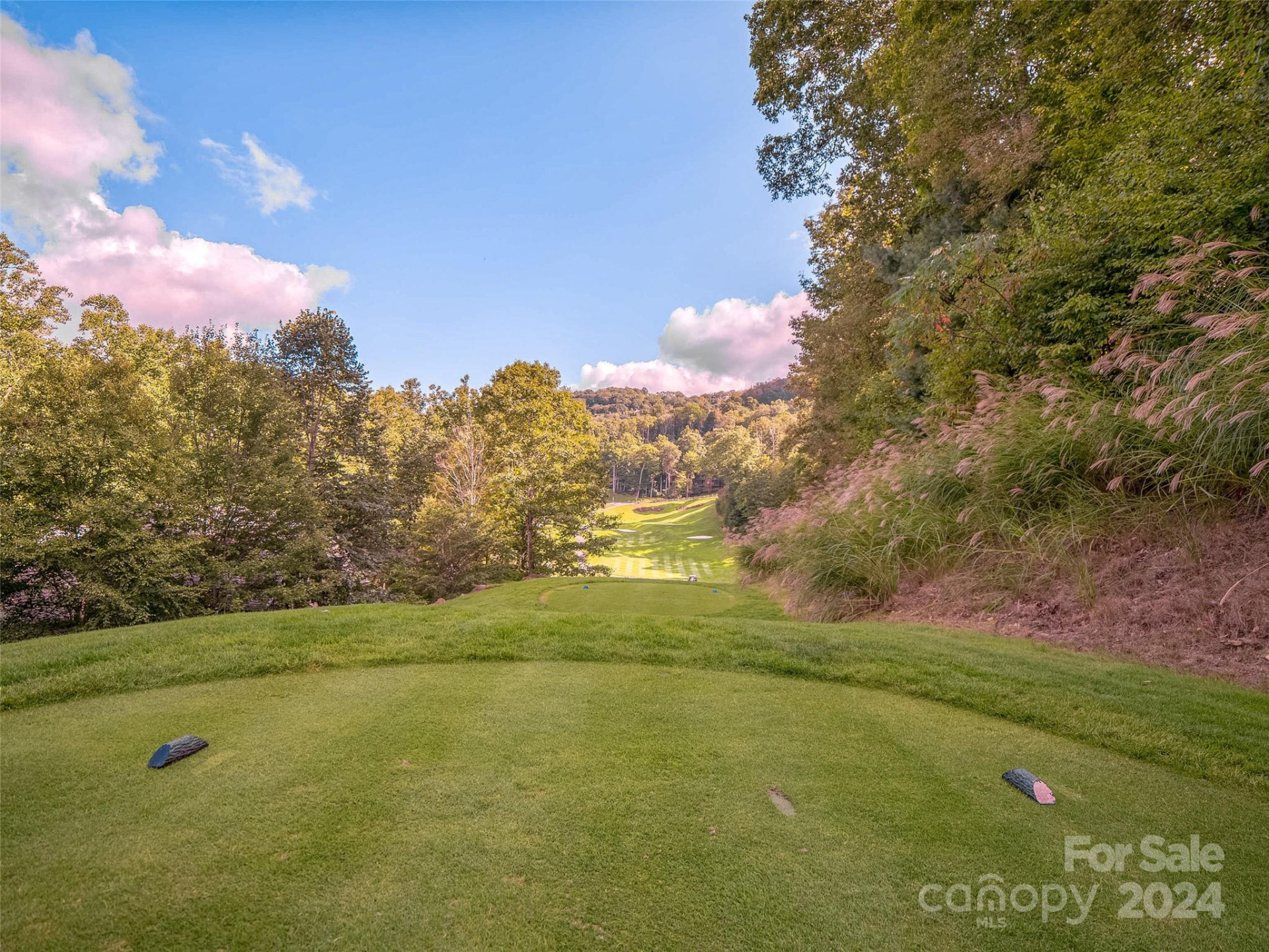 Lot 17 Old Growth Forest Road - Photo 14